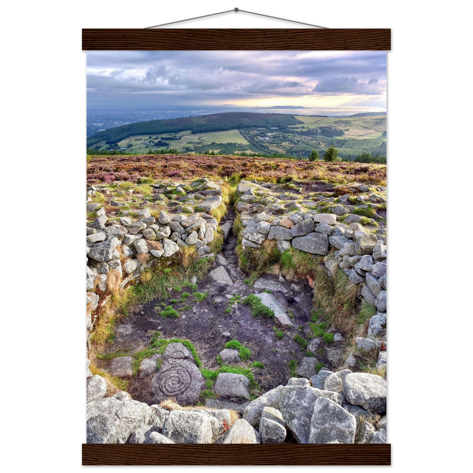 d72839af-3a96-4901-8265-0e5ef83e811d