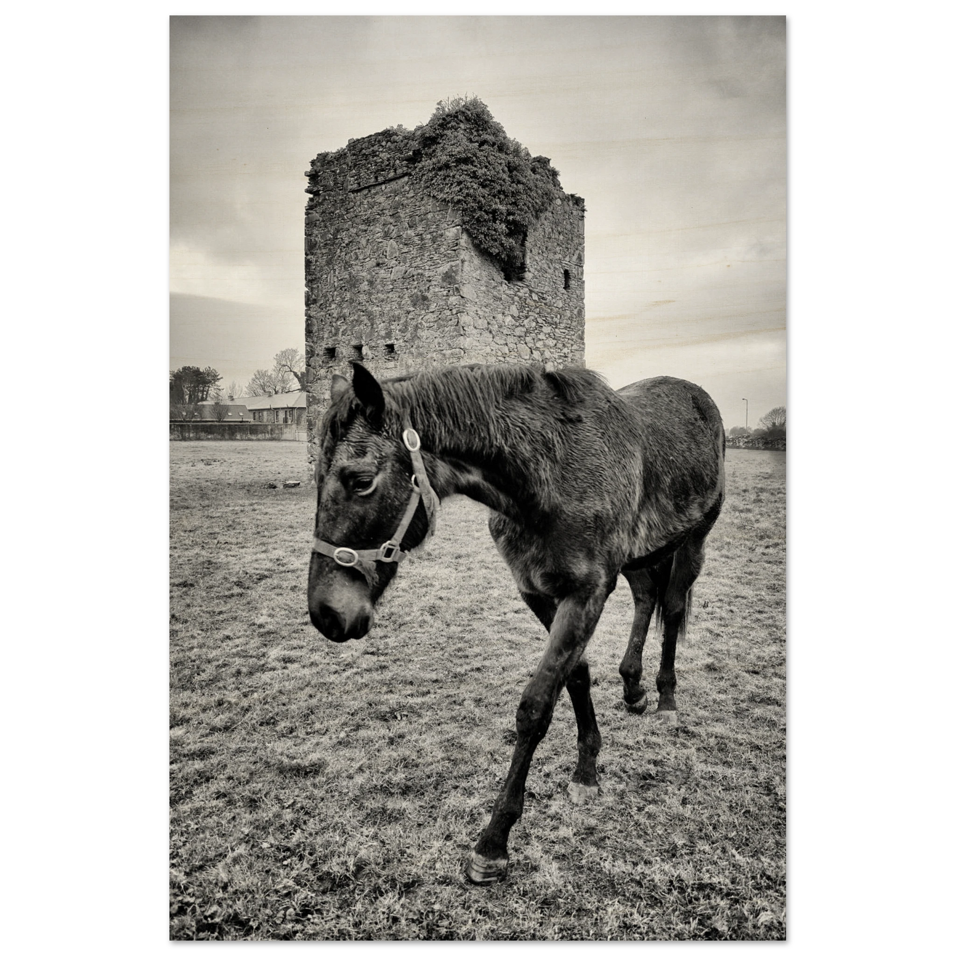 d75d4d6b-094a-4e28-901d-546e8b9e9e2a