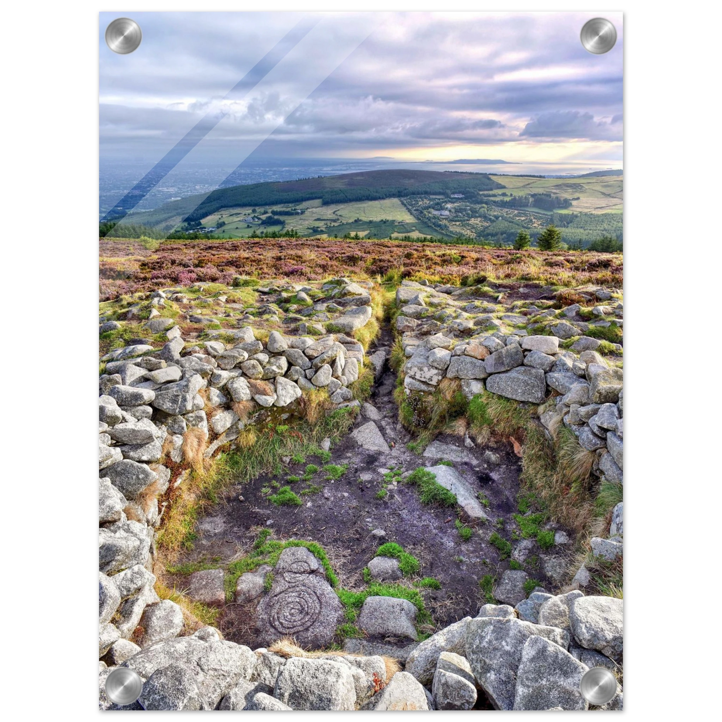 d775054a-c0bb-437f-ac3f-4c02e7dc1903