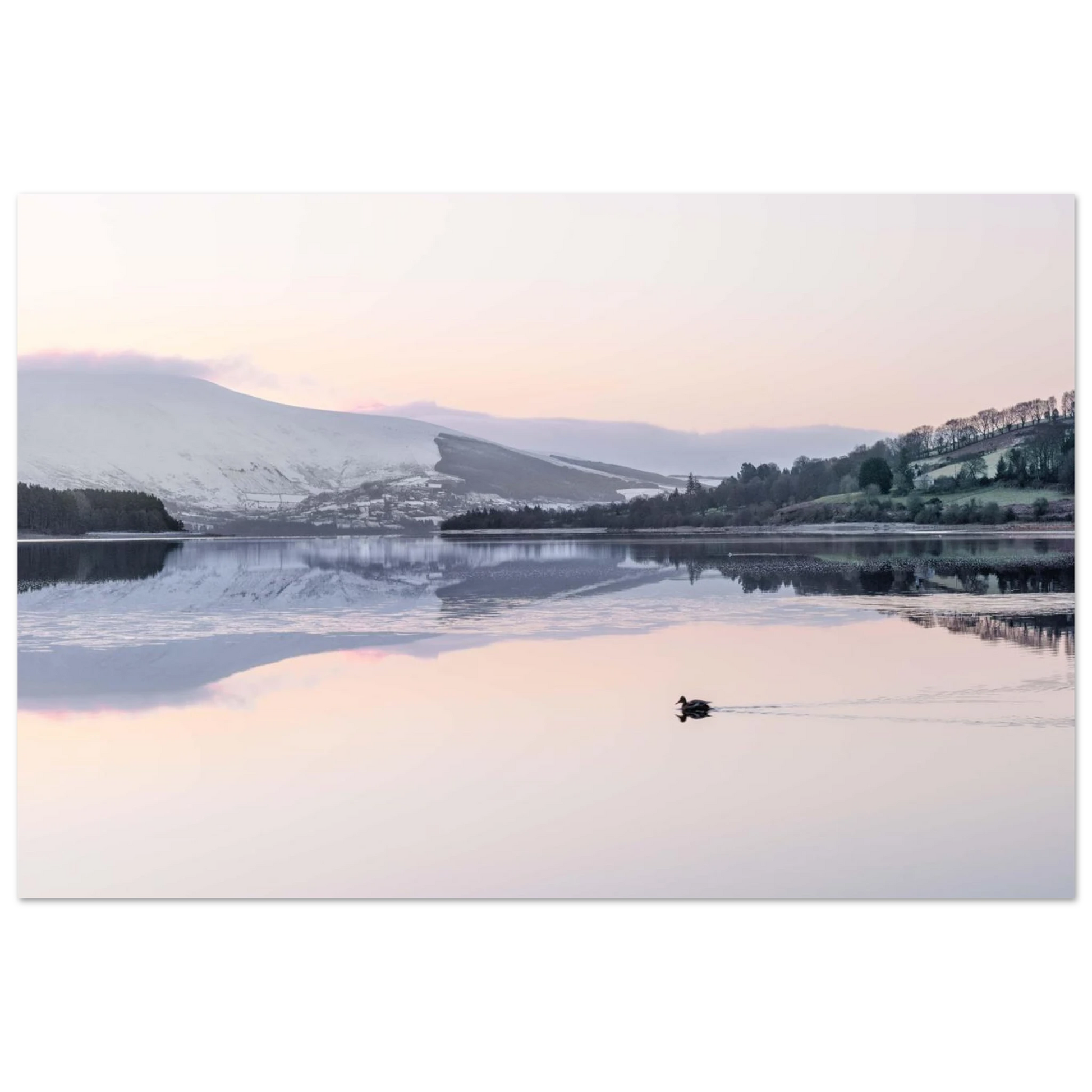 d83161b4-ce52-4a71-994e-5bb8b8c780ef