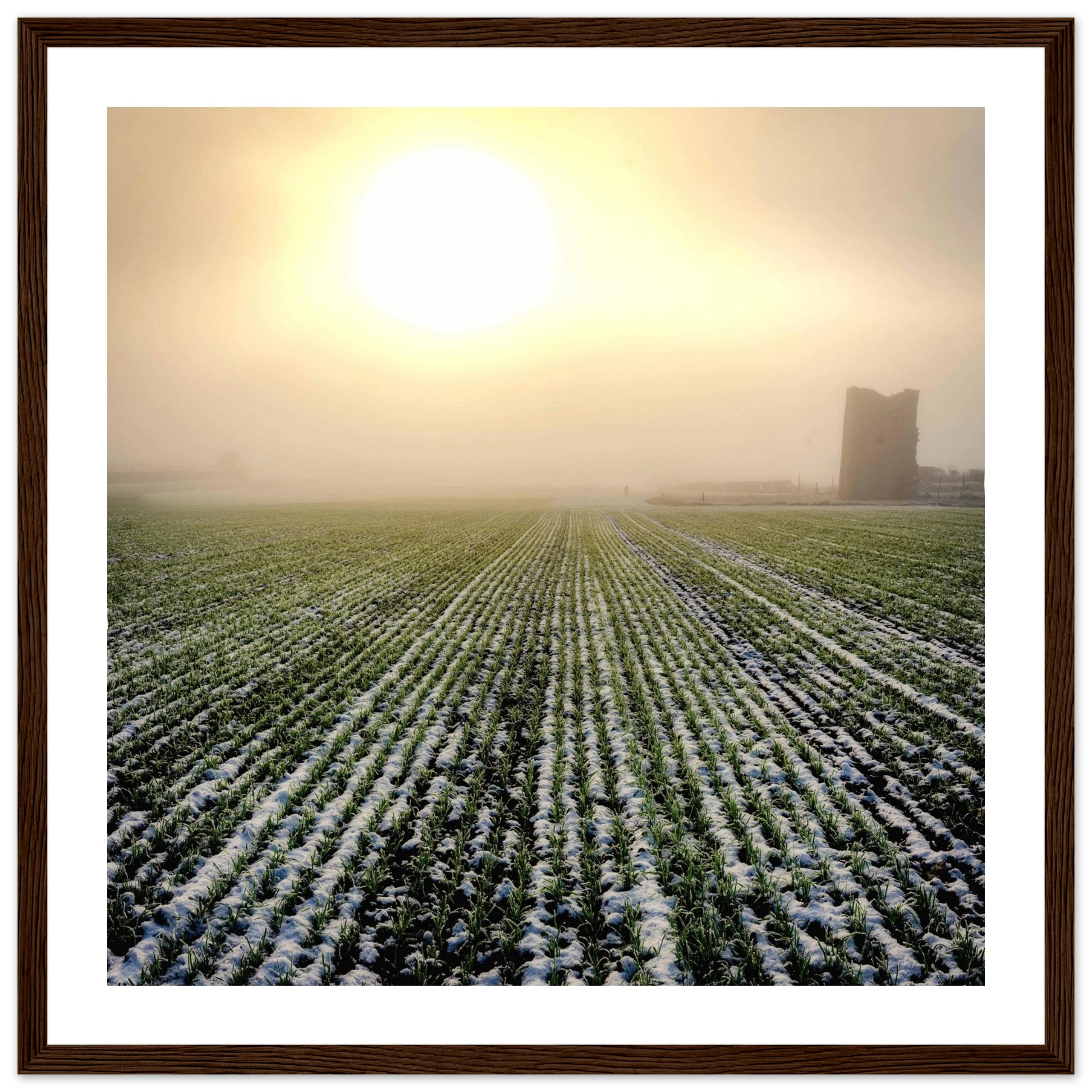 d84e09cc-b20e-4735-80d8-a9e6d5995874