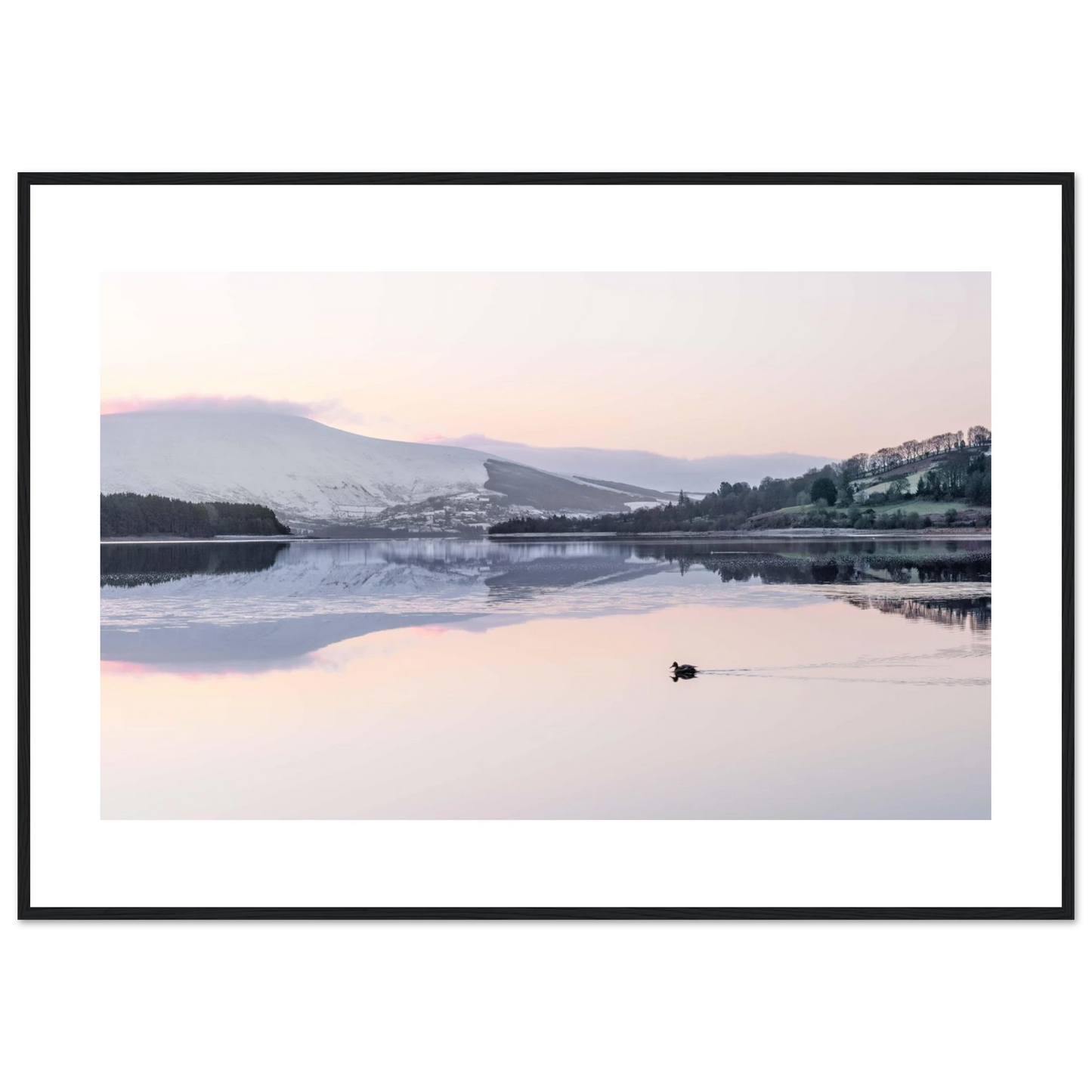 d91b3ce0-f43e-457a-bd1f-12dd606aa2ca