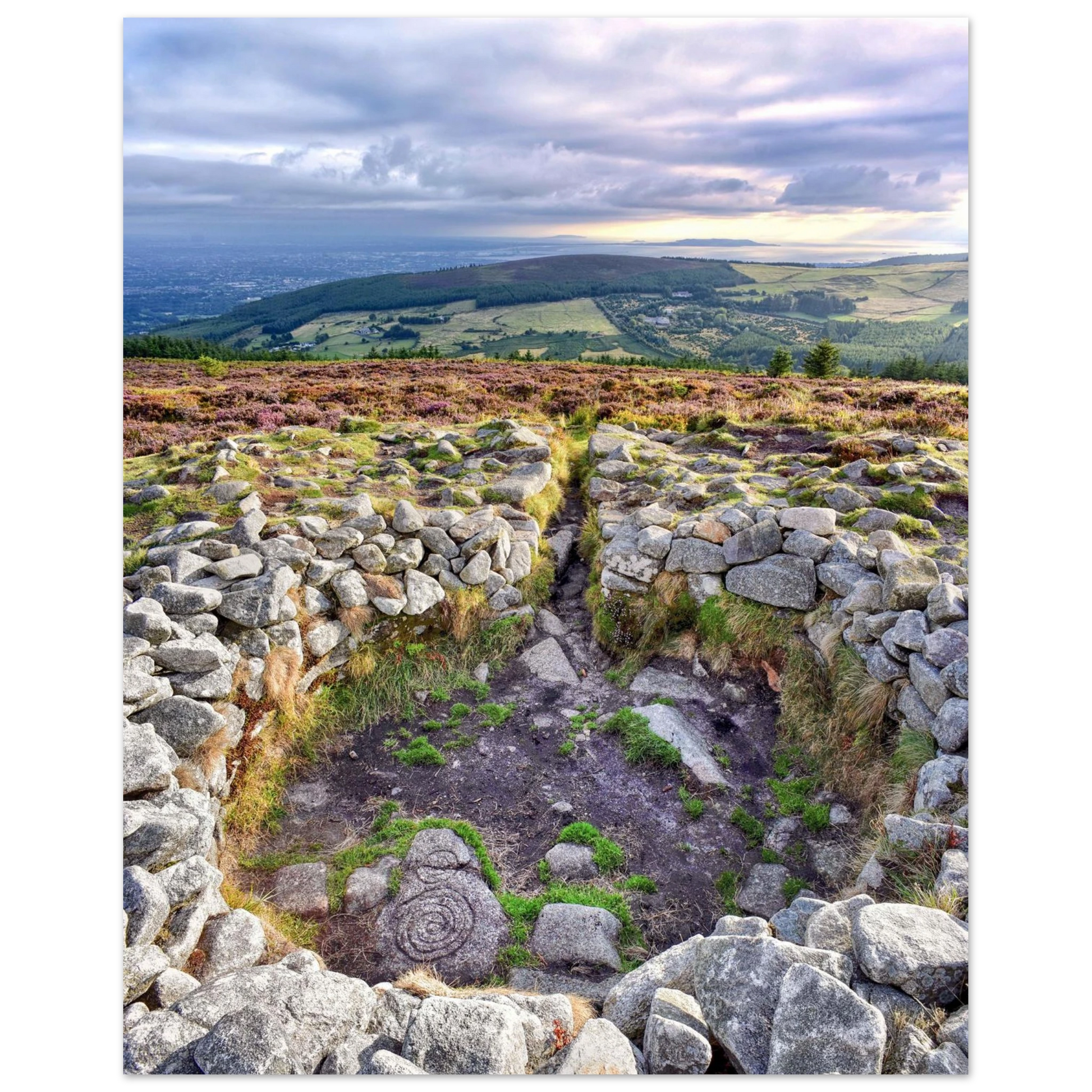 d91bff64-aa17-4917-a33e-d127374f0691