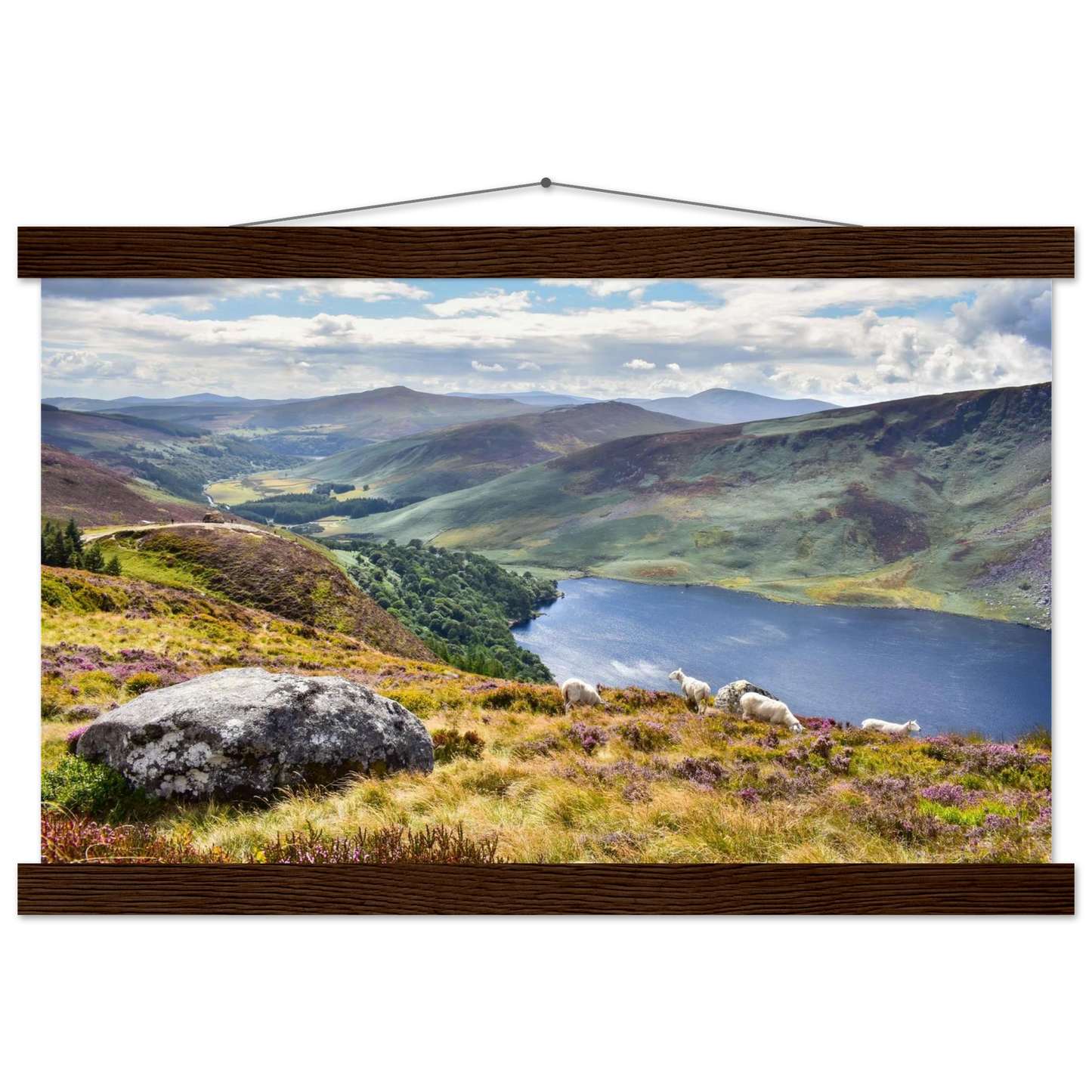 d97291f8-e1f2-4908-aa8e-f0ff9c896c34