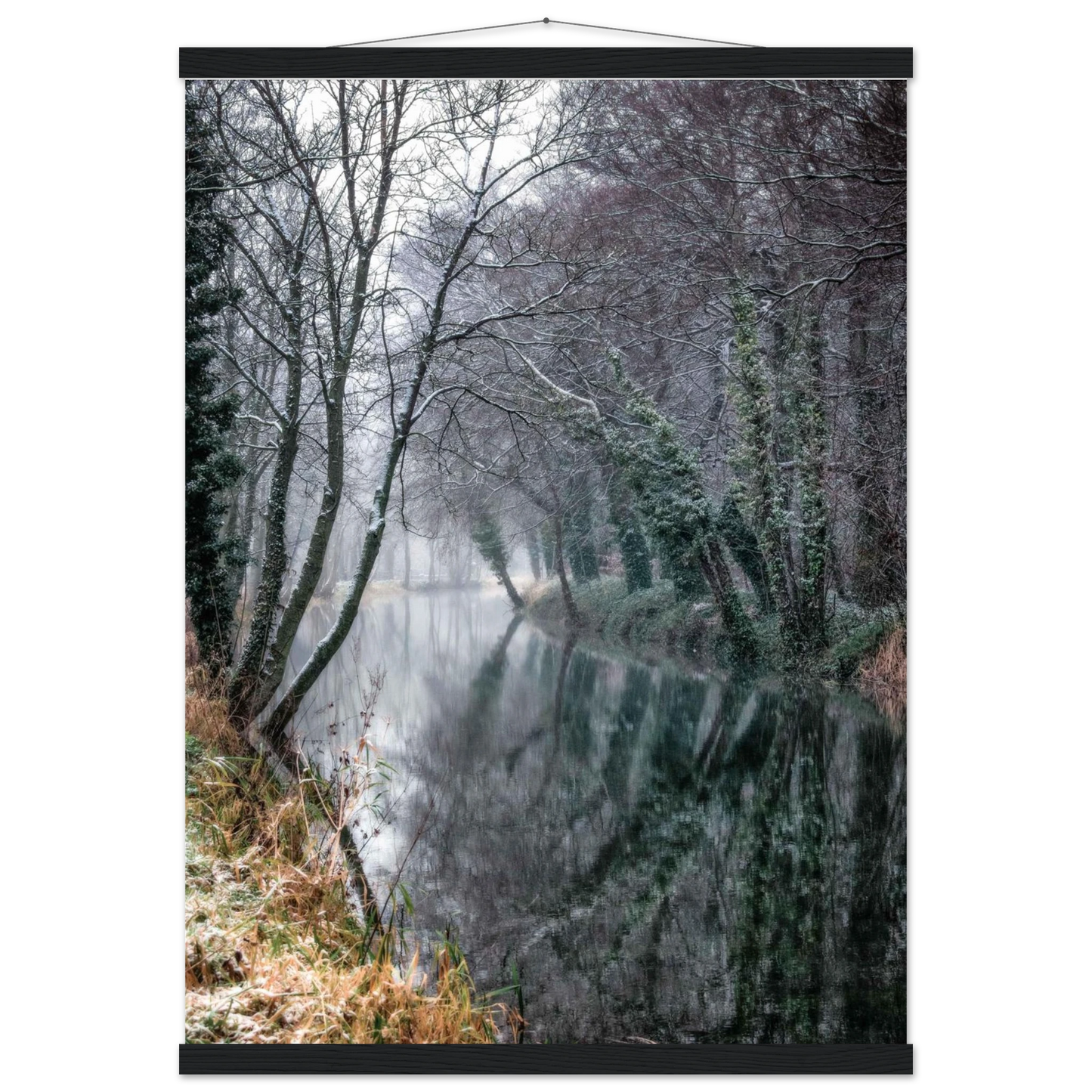 d9929c50-fba0-45a6-9851-3c20071cd096