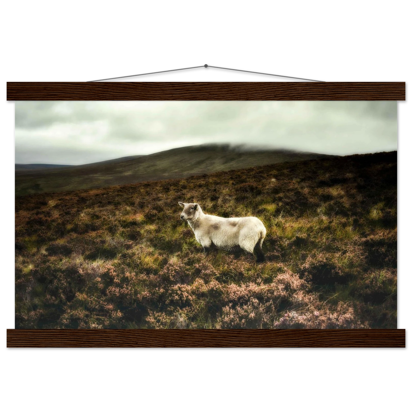 da15a7d0-1c95-4535-b008-b12d83a43d52