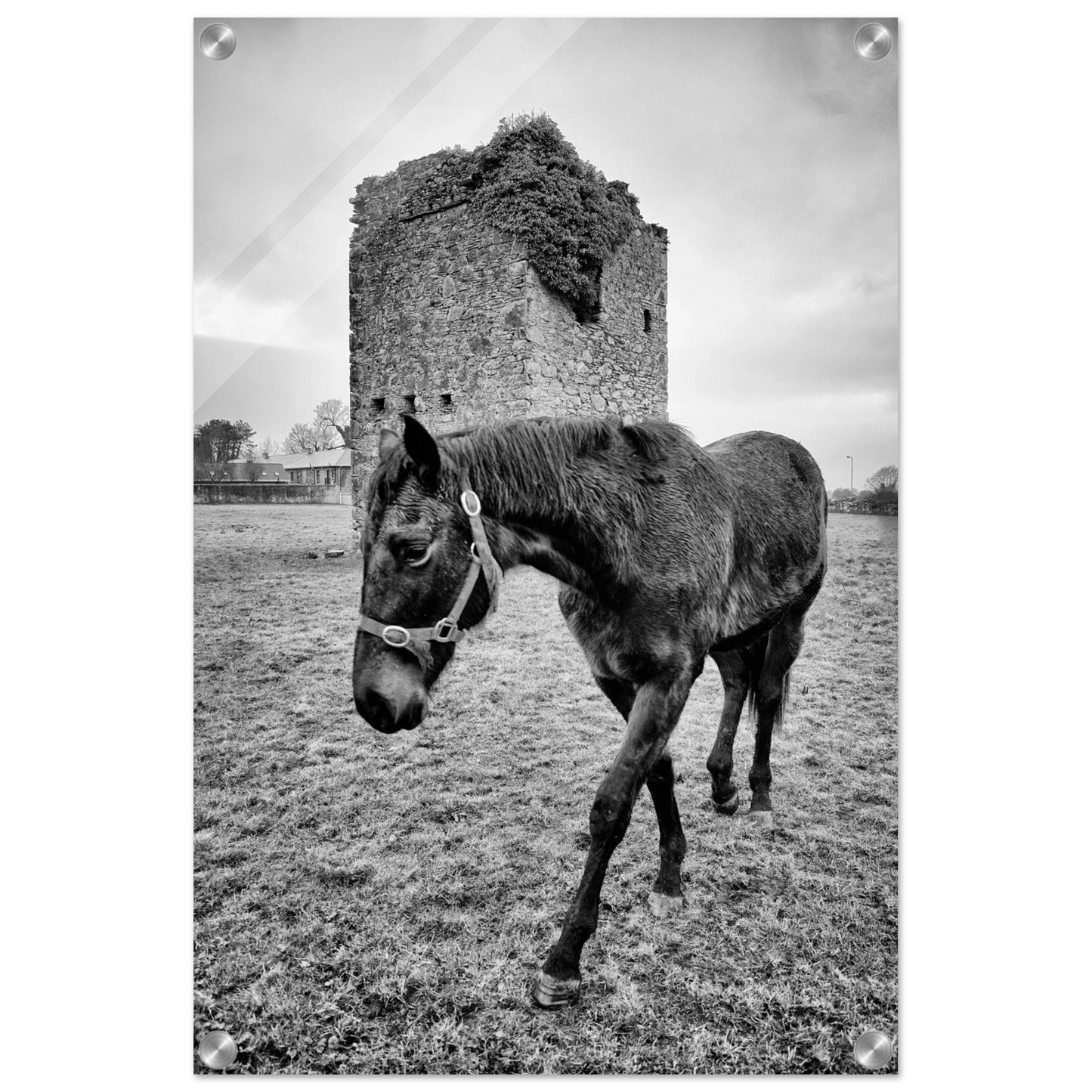 da9207e5-f377-46bd-80b0-dfe72c420ad0