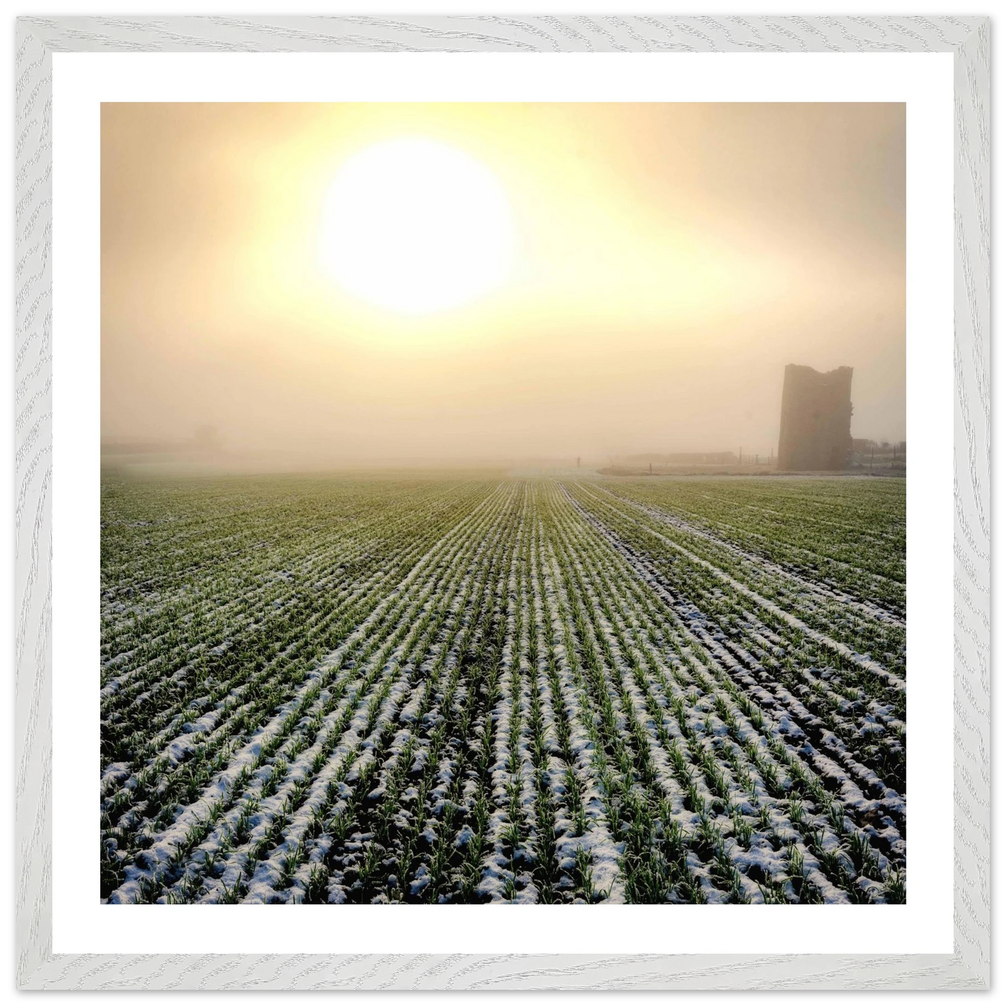 dab1ded5-4b8a-4161-84f5-1d5085130115