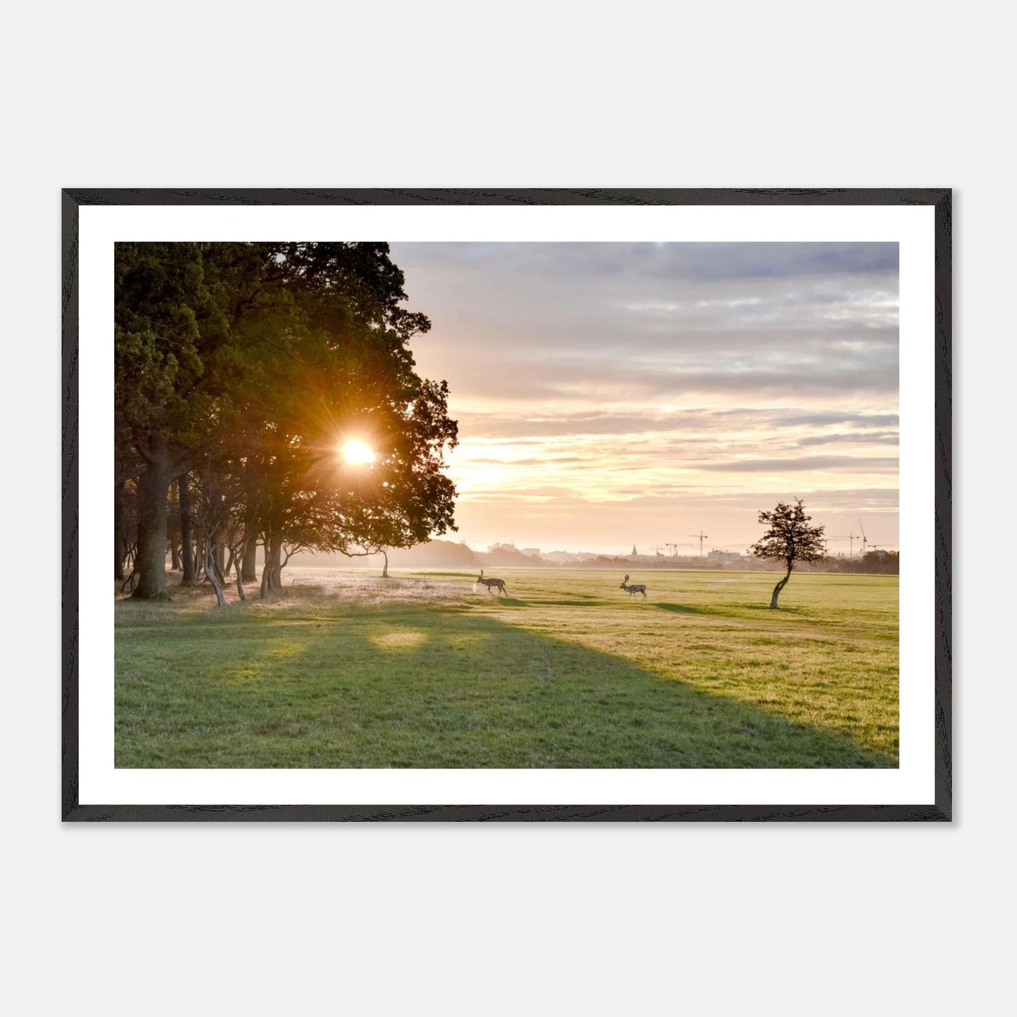 dac02912-4e9e-4d9e-935a-3c99c891921f