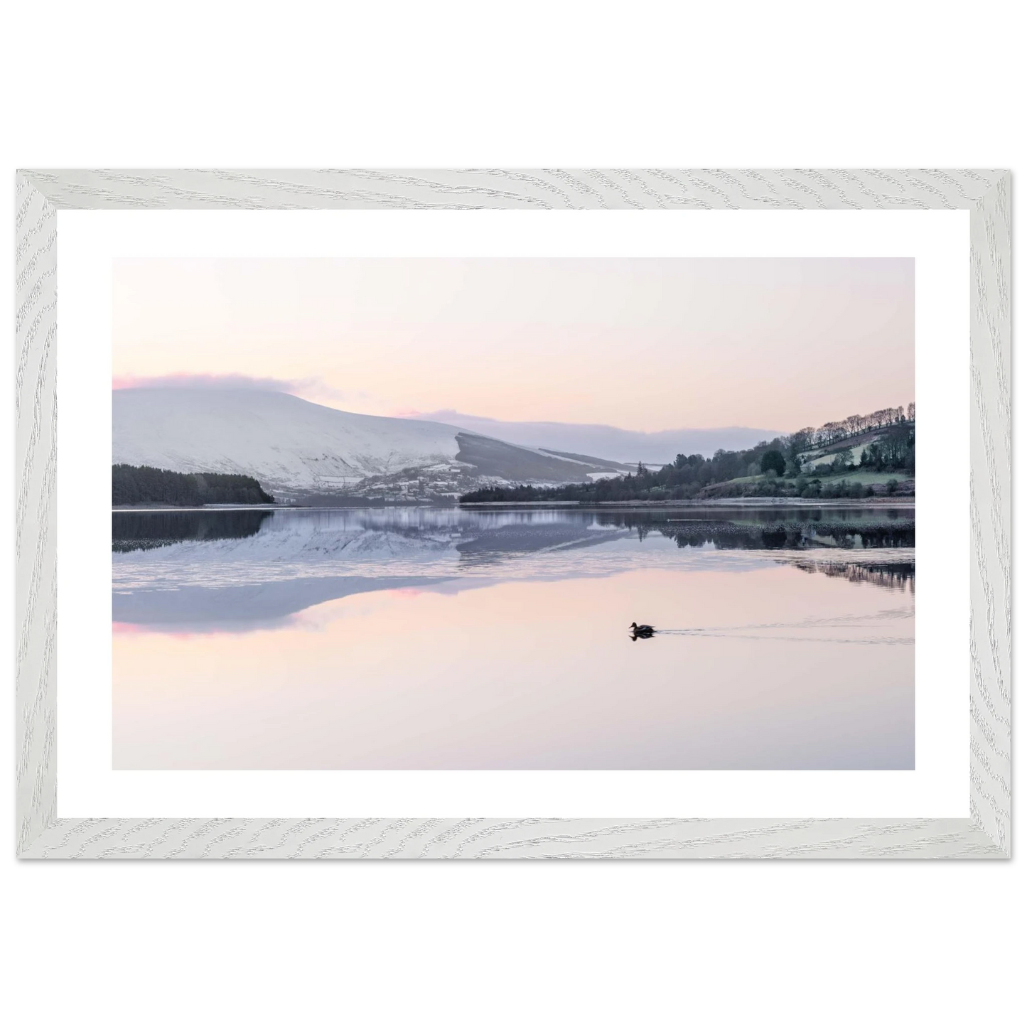 dae39221-312d-4b40-943c-bfd3d0604109