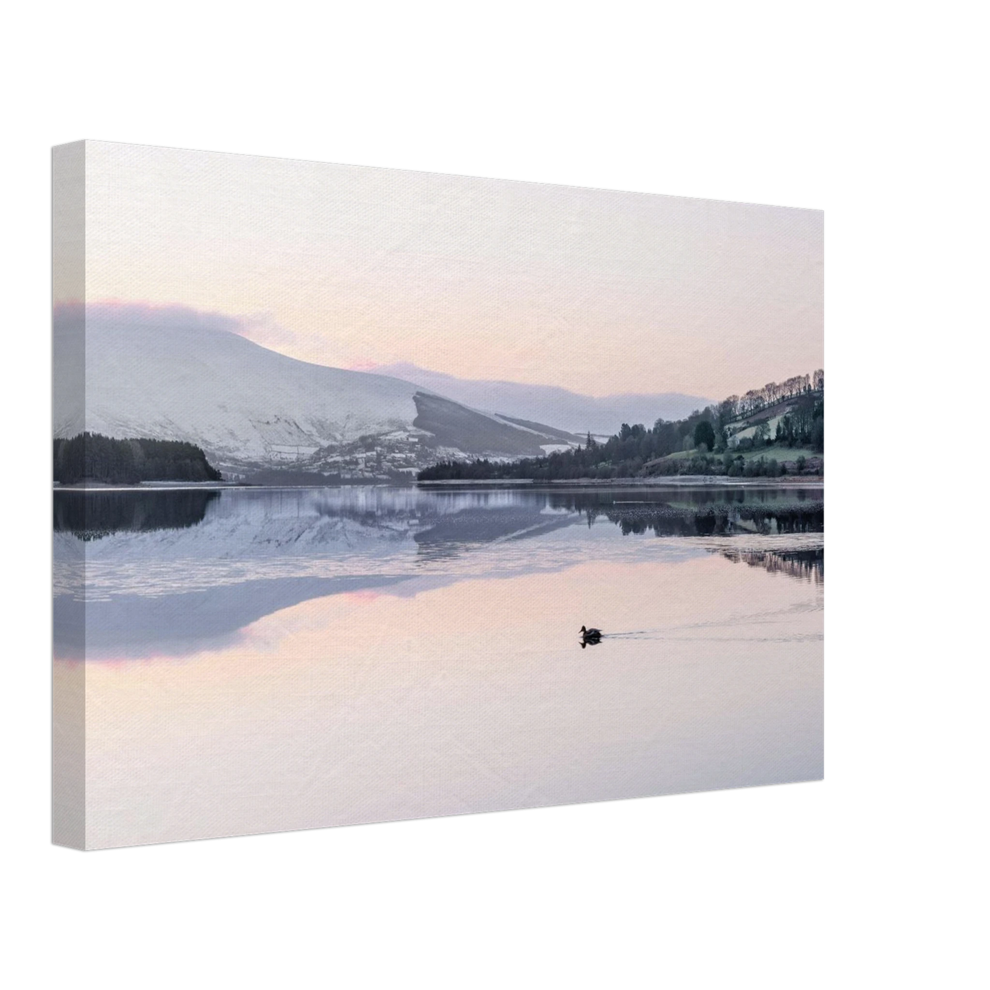 db39c6b1-739f-4b71-acef-50e51234d6a2