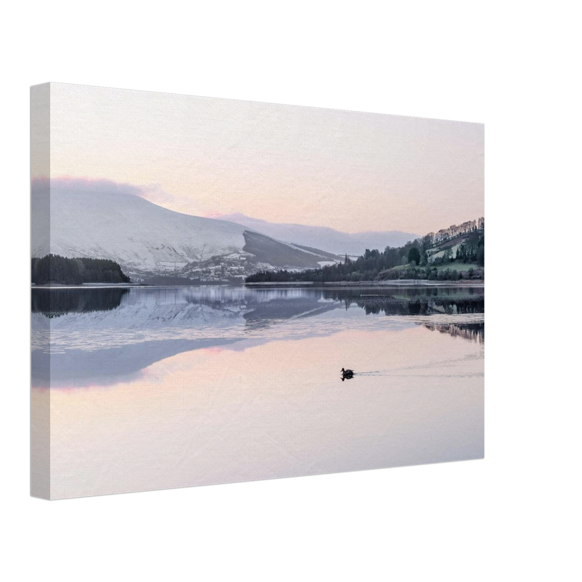 db39c6b1-739f-4b71-acef-50e51234d6a2