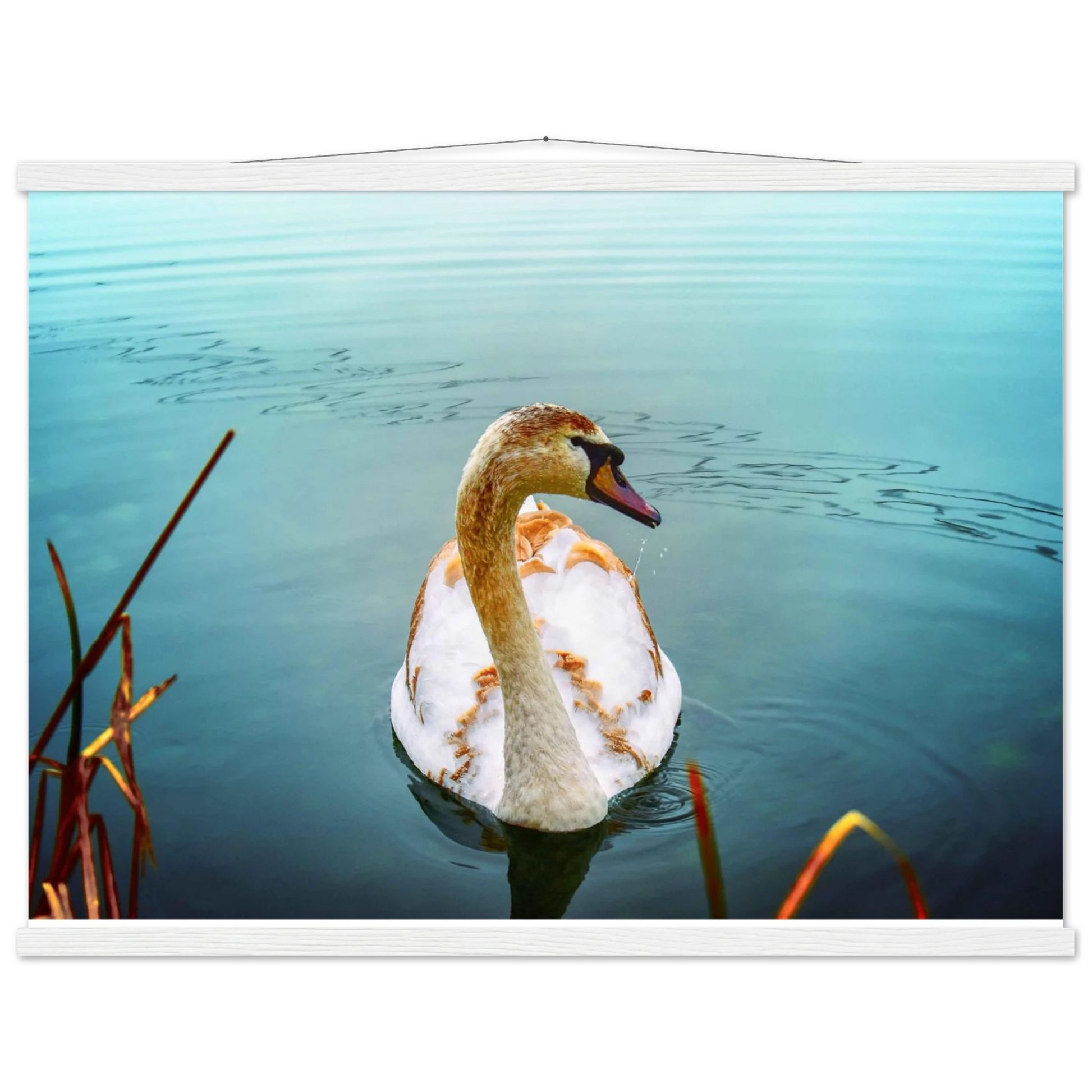 db679b51-556e-48e5-af39-5c70a60d61dd