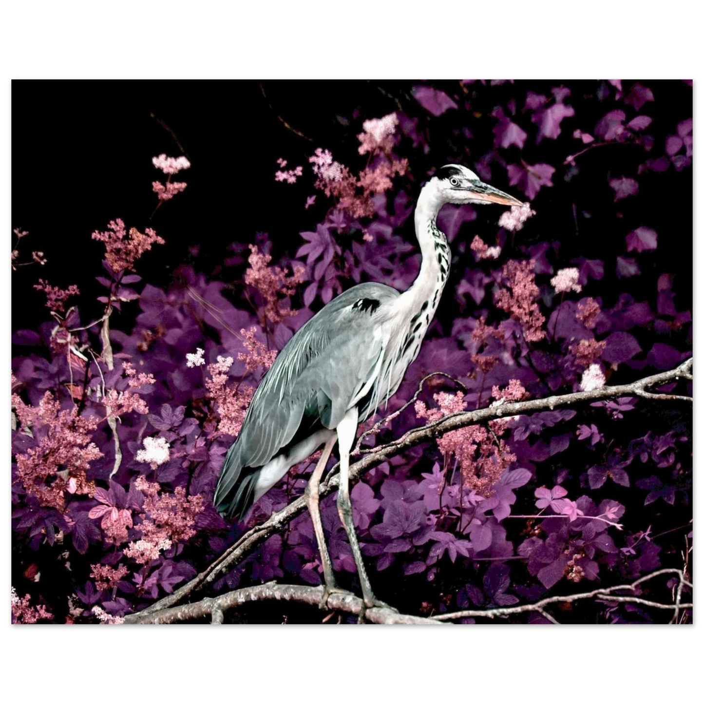 db6f40b2-bac2-4214-8b6c-a3aee42e9a6d