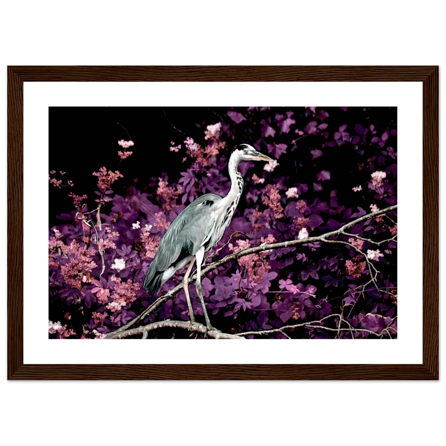 db8c3ef5-9621-4ad0-baf5-aa75611d4829