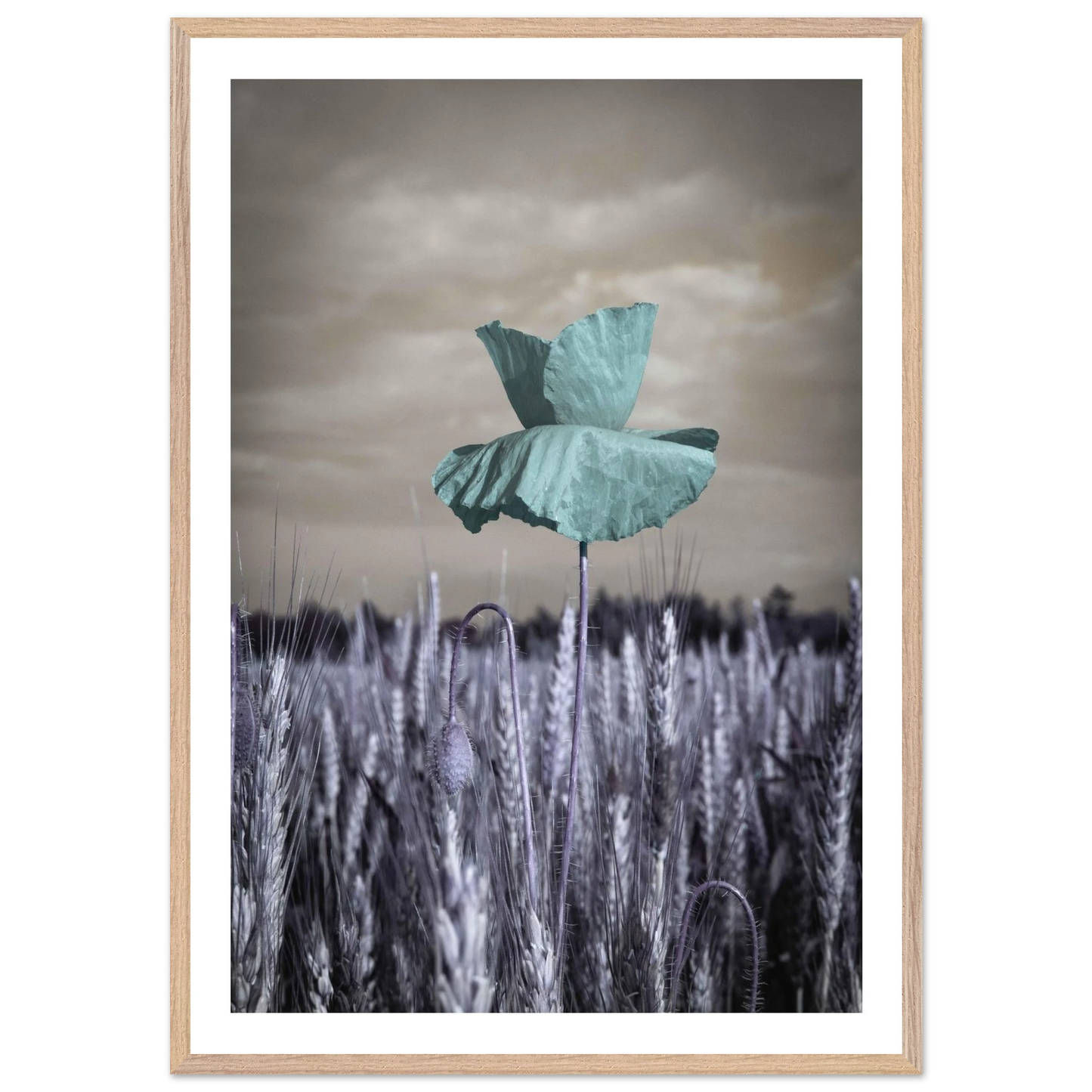 dbcc1a2f-f5bf-48c5-ba08-b29a2a77b696