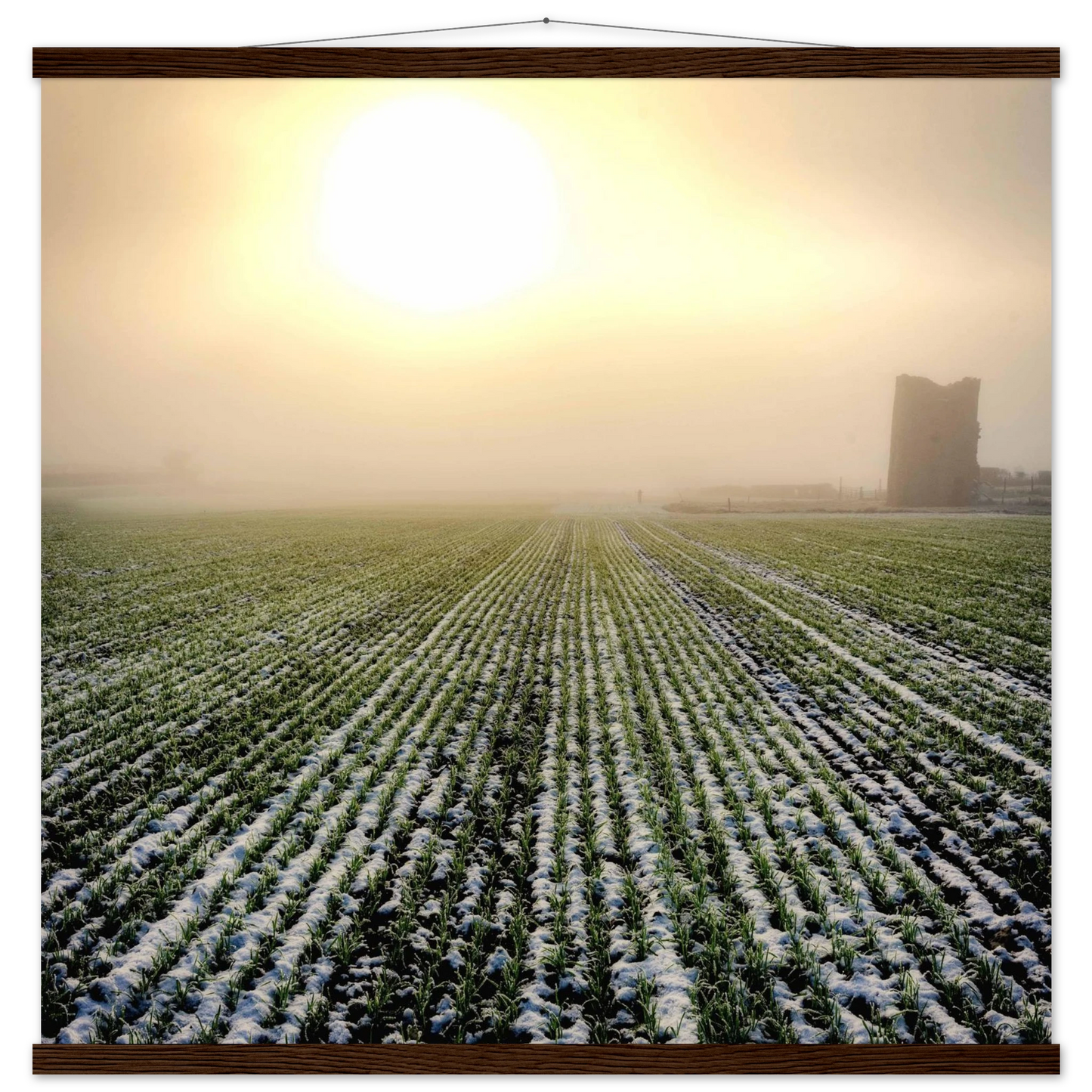 dc1c3d61-162b-4f80-a5f6-c18bd804fe2d