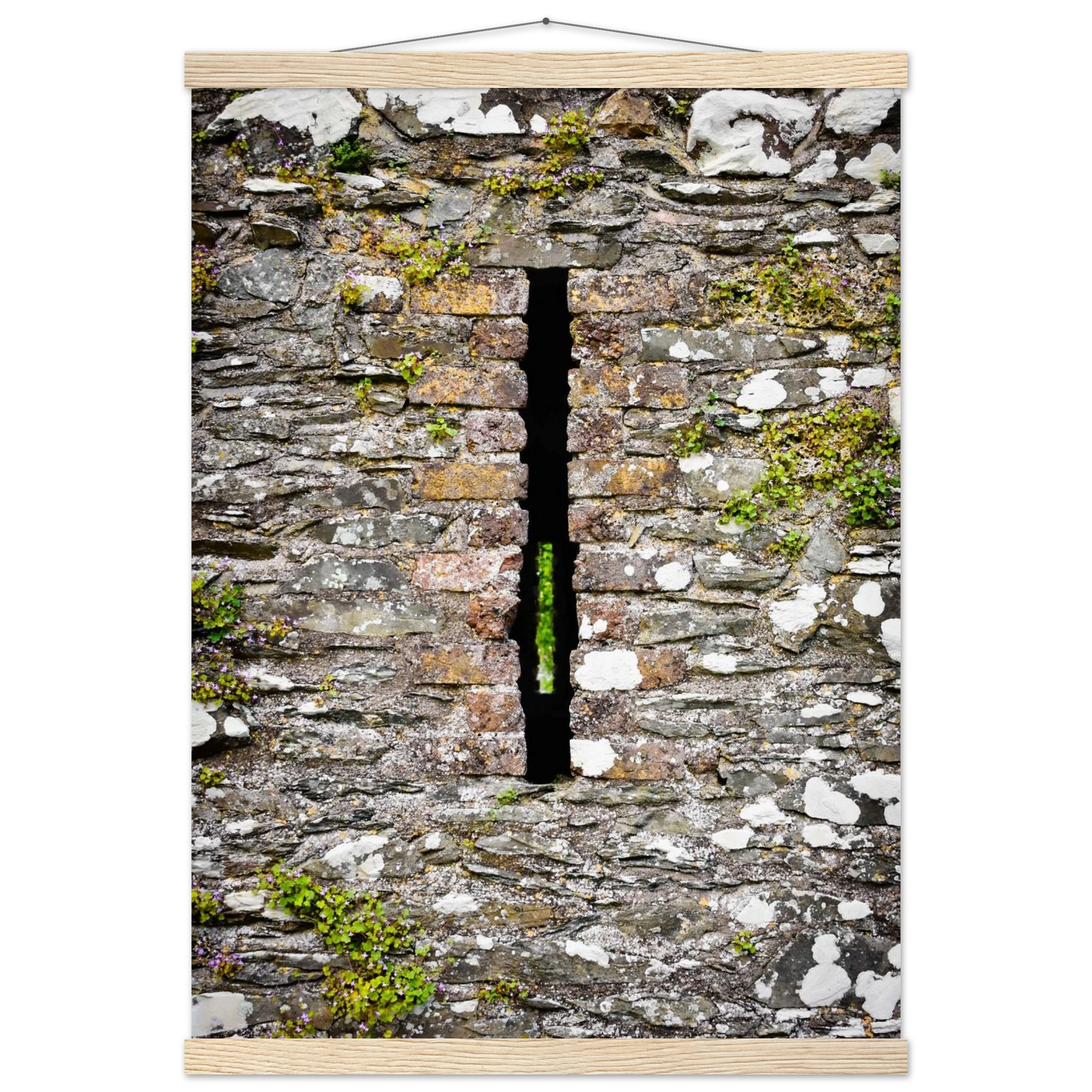 dc4409d3-dd59-4d51-8ce6-f5395e5d28ac