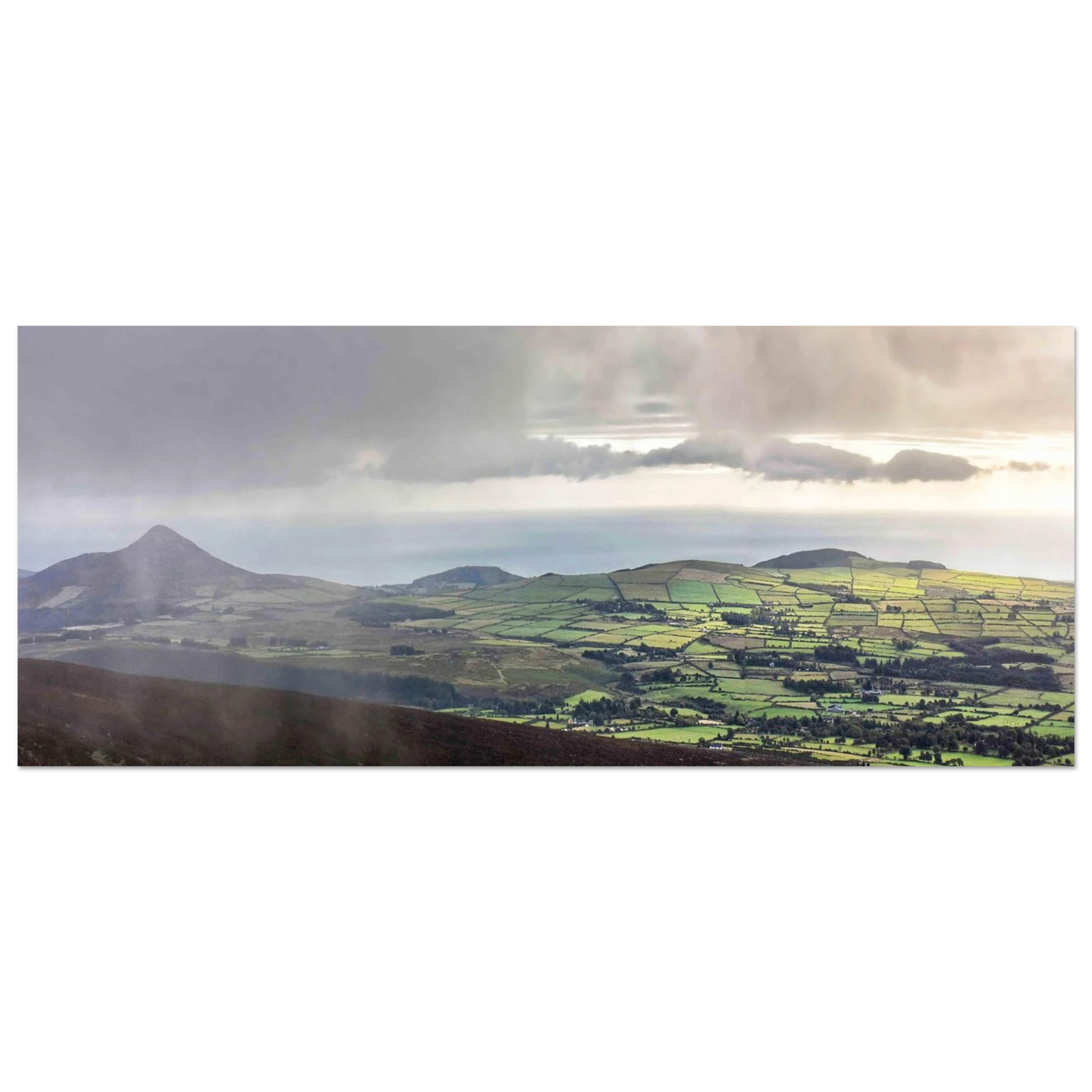 dc556f16-3fd9-4a5b-9b95-101b0b397e97