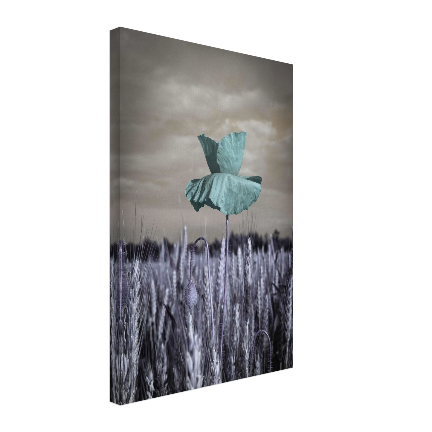 dcc0bf6e-d420-41b2-b71e-d42bcaa4931d