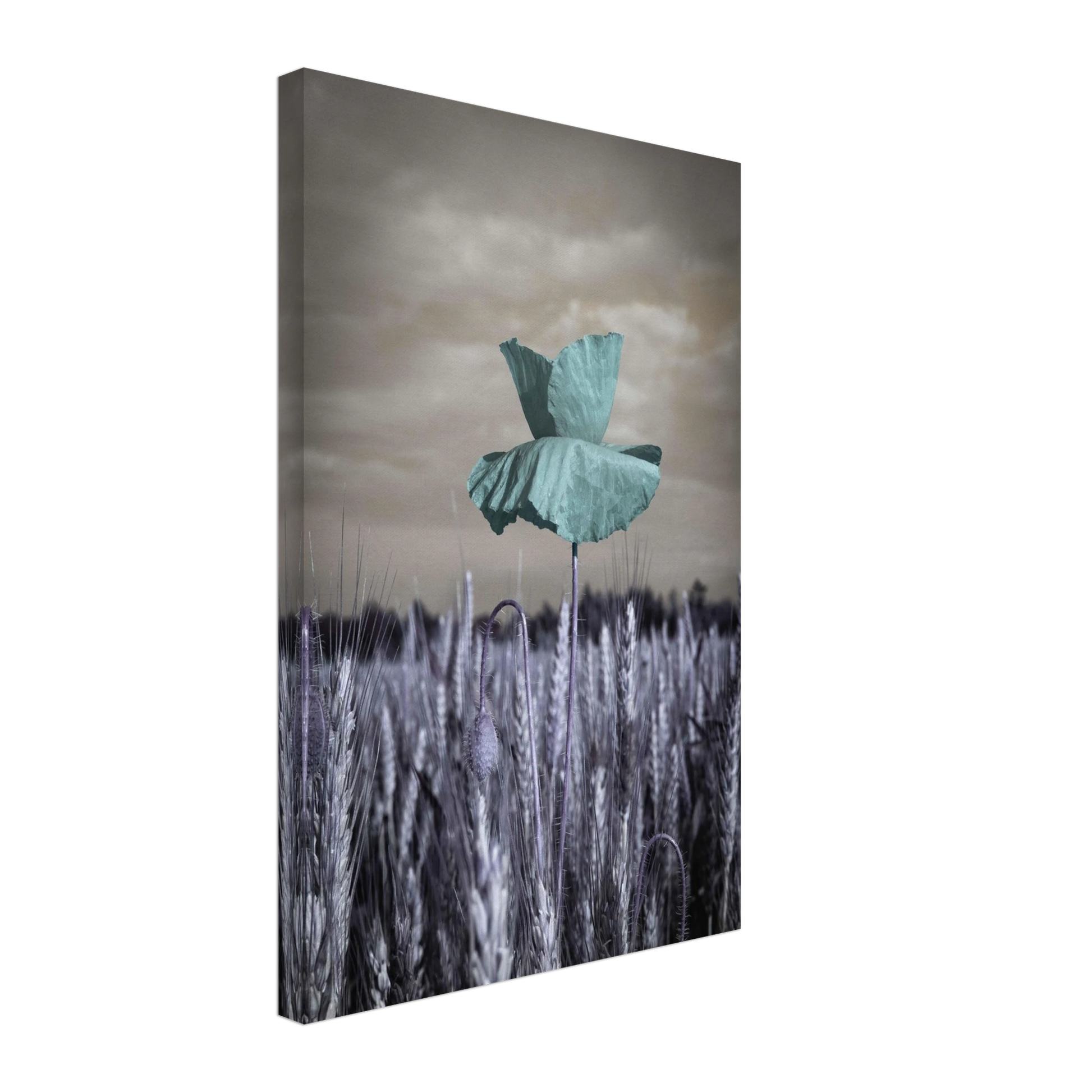 dcc0bf6e-d420-41b2-b71e-d42bcaa4931d