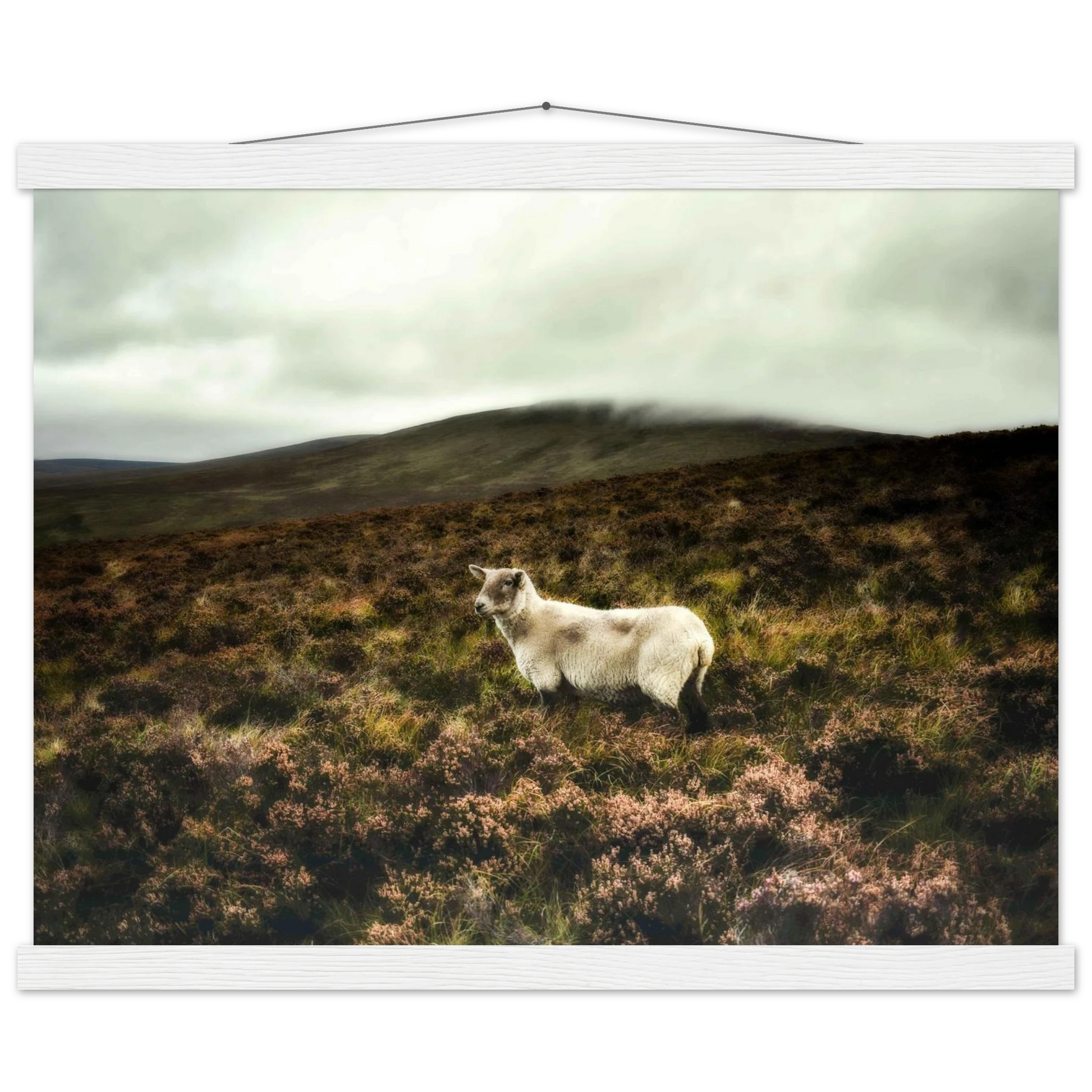 dcd773c3-23aa-4c6e-a103-5e650bb4c07e