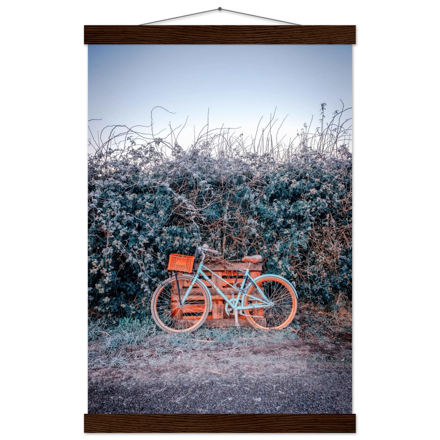 dce92997-1ae3-4037-a3b2-d1ddc732377d