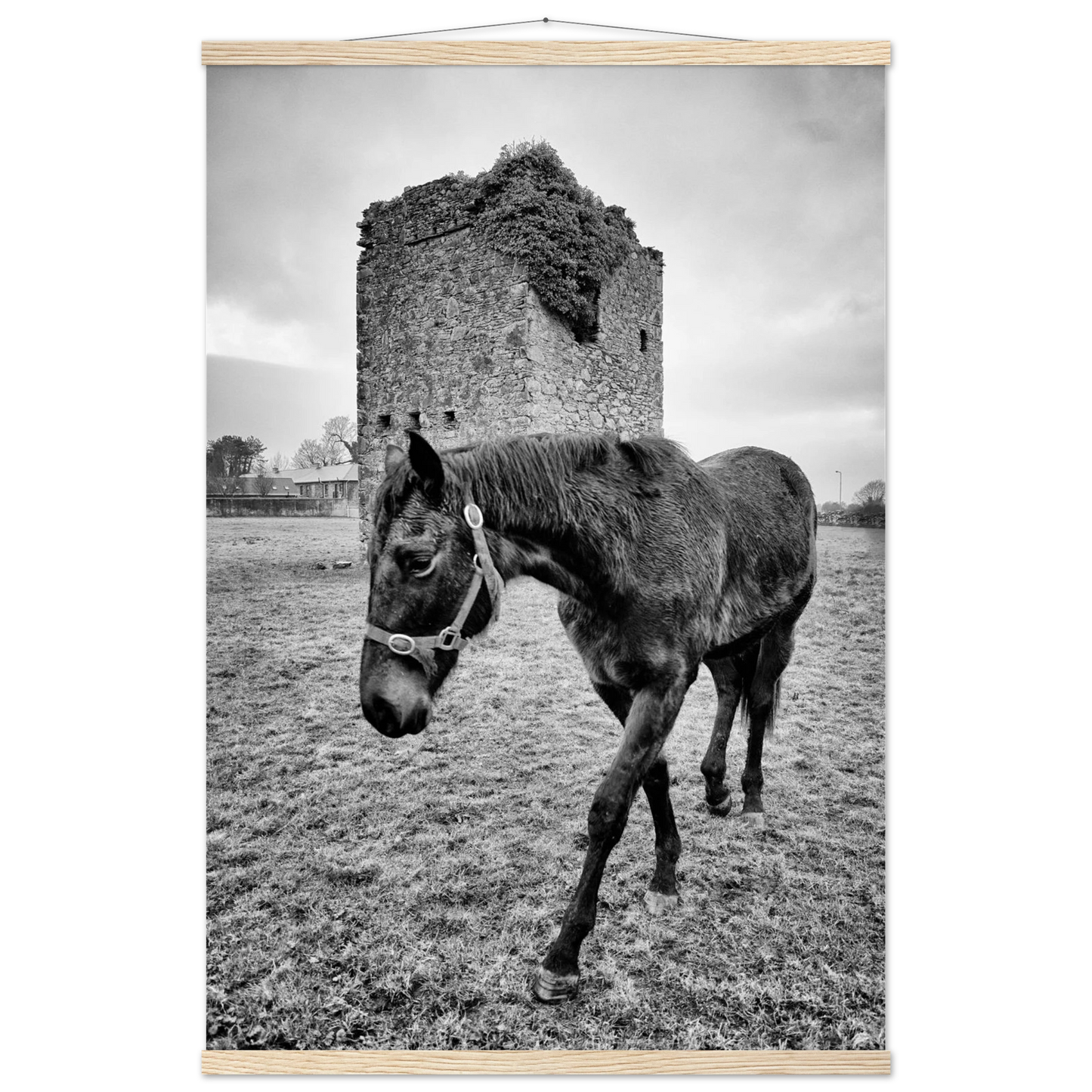 dcebbb4c-6d8e-4f4e-96f9-321bb8890029