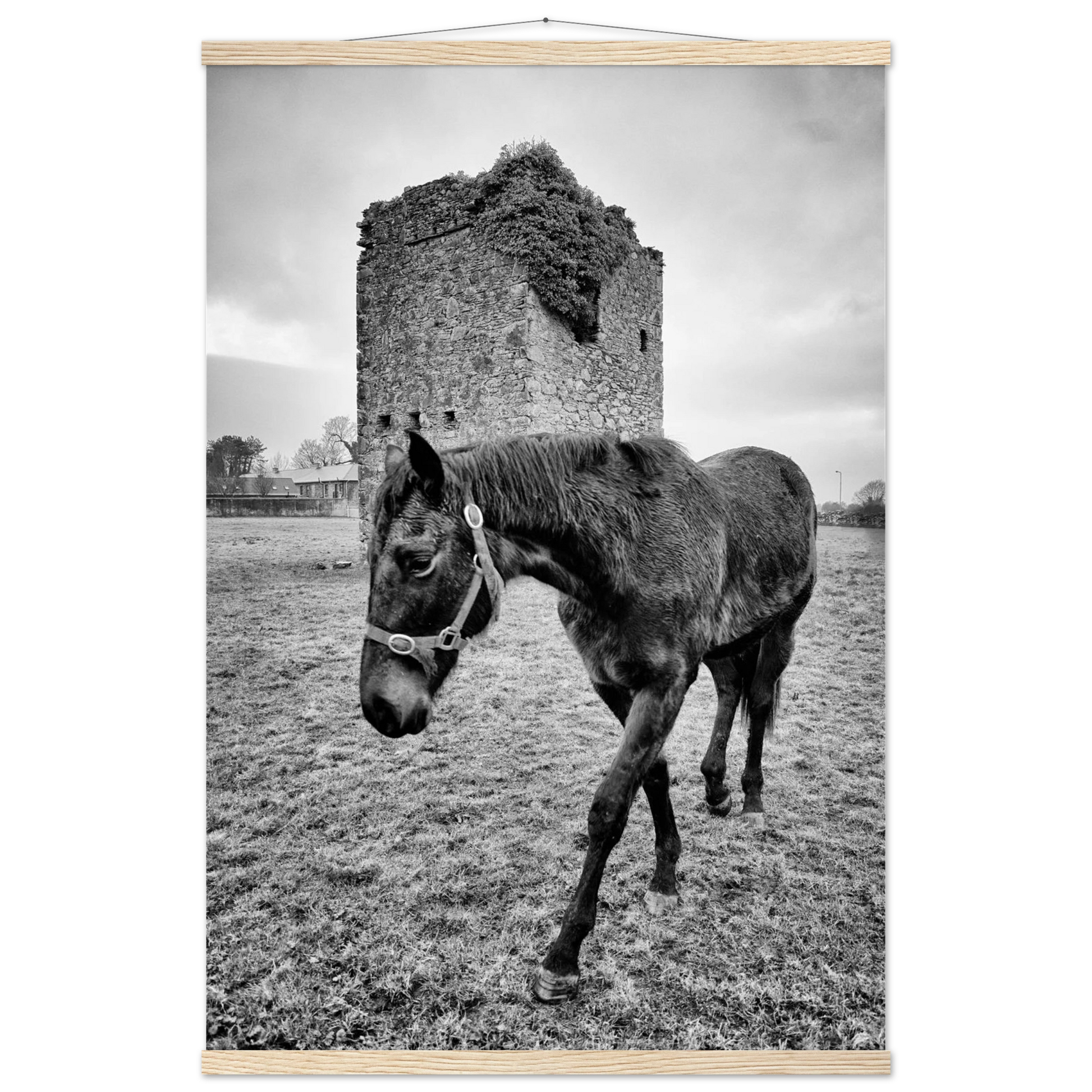 dcebbb4c-6d8e-4f4e-96f9-321bb8890029