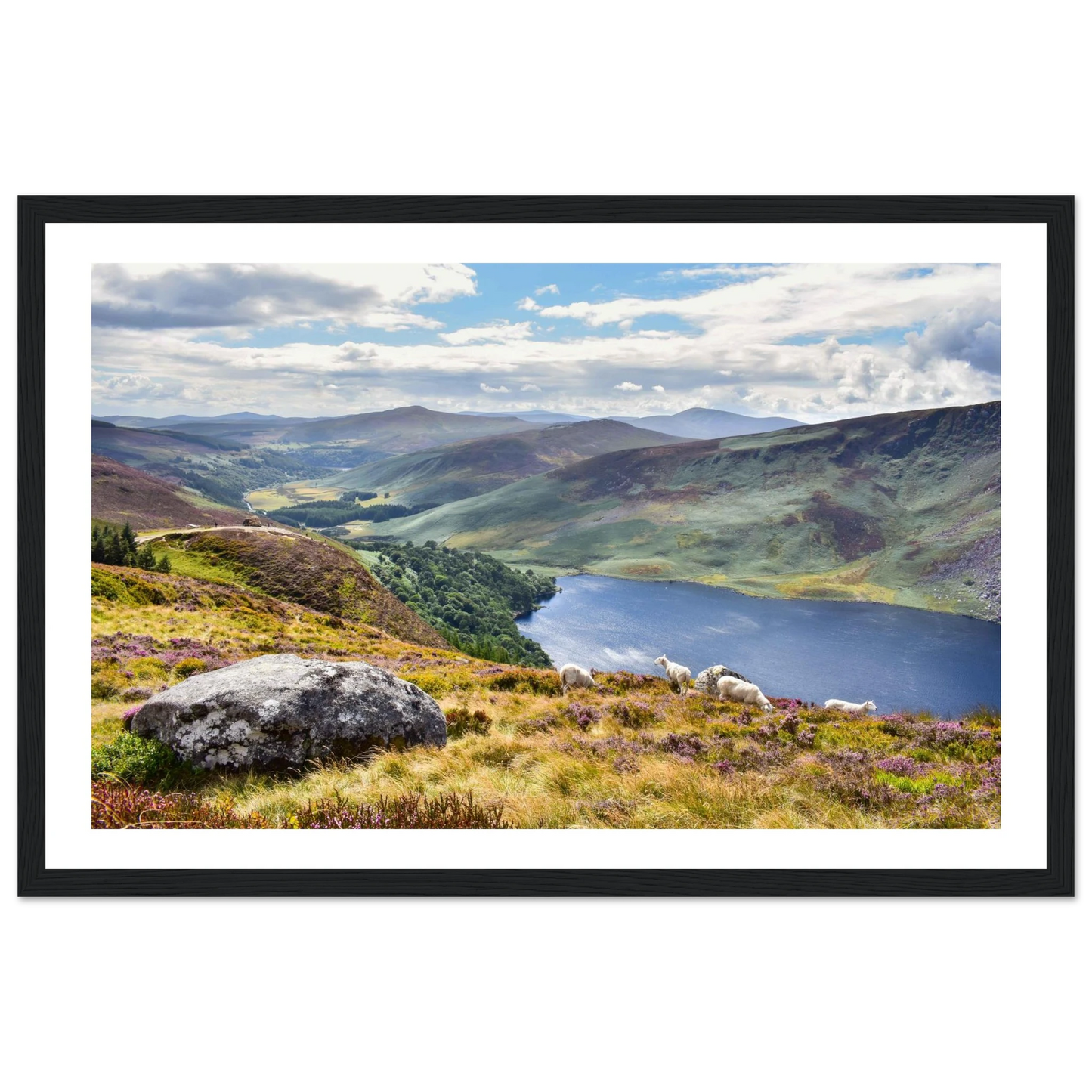 dd448073-ddef-41fa-b88b-b0d7d6735026