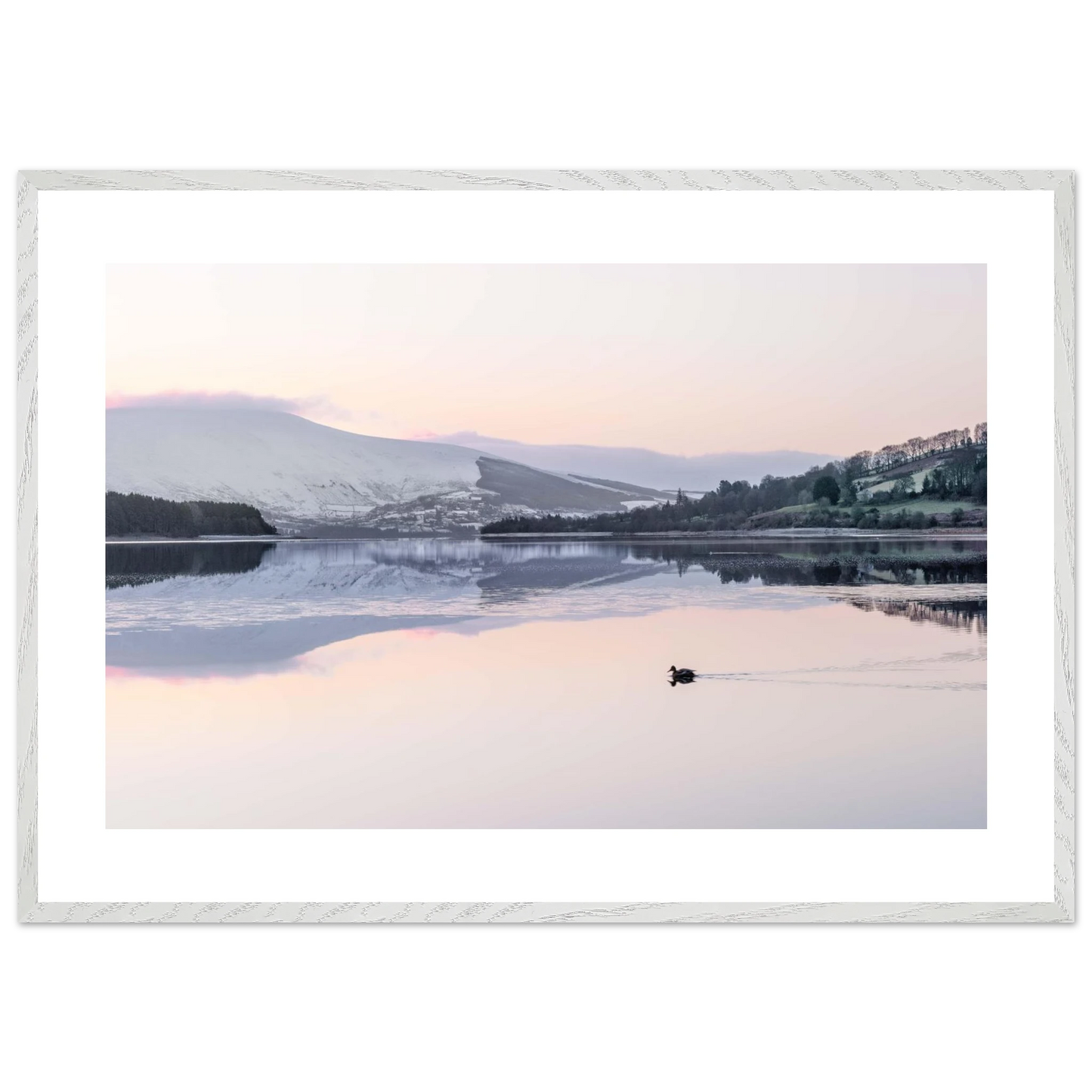 dd5606a0-dc64-4bfe-9395-518d53f8a507