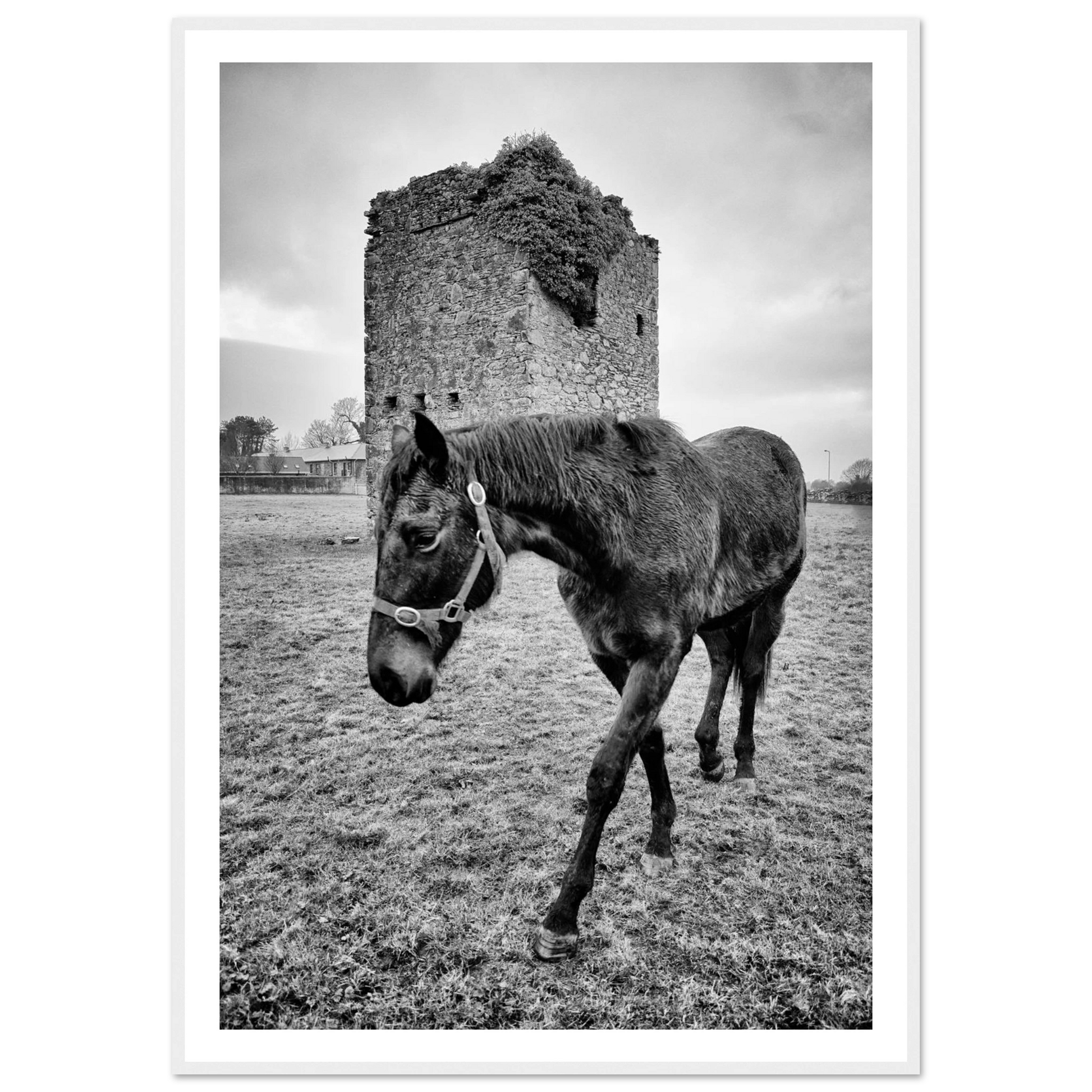 dd6ae4a4-2328-4fee-b3e9-b1062fd65c7d