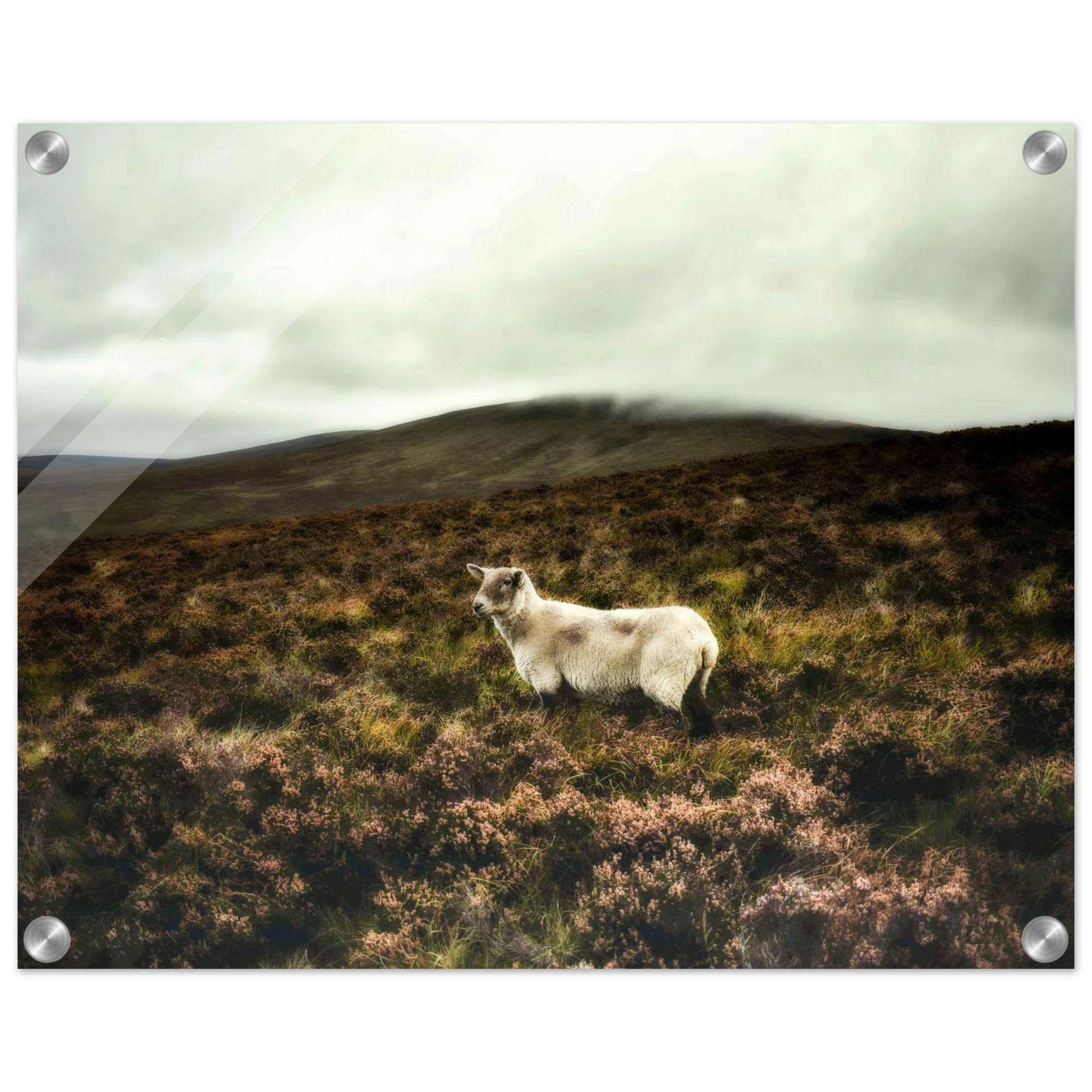 dd79440a-697e-430e-b858-282915cf126c