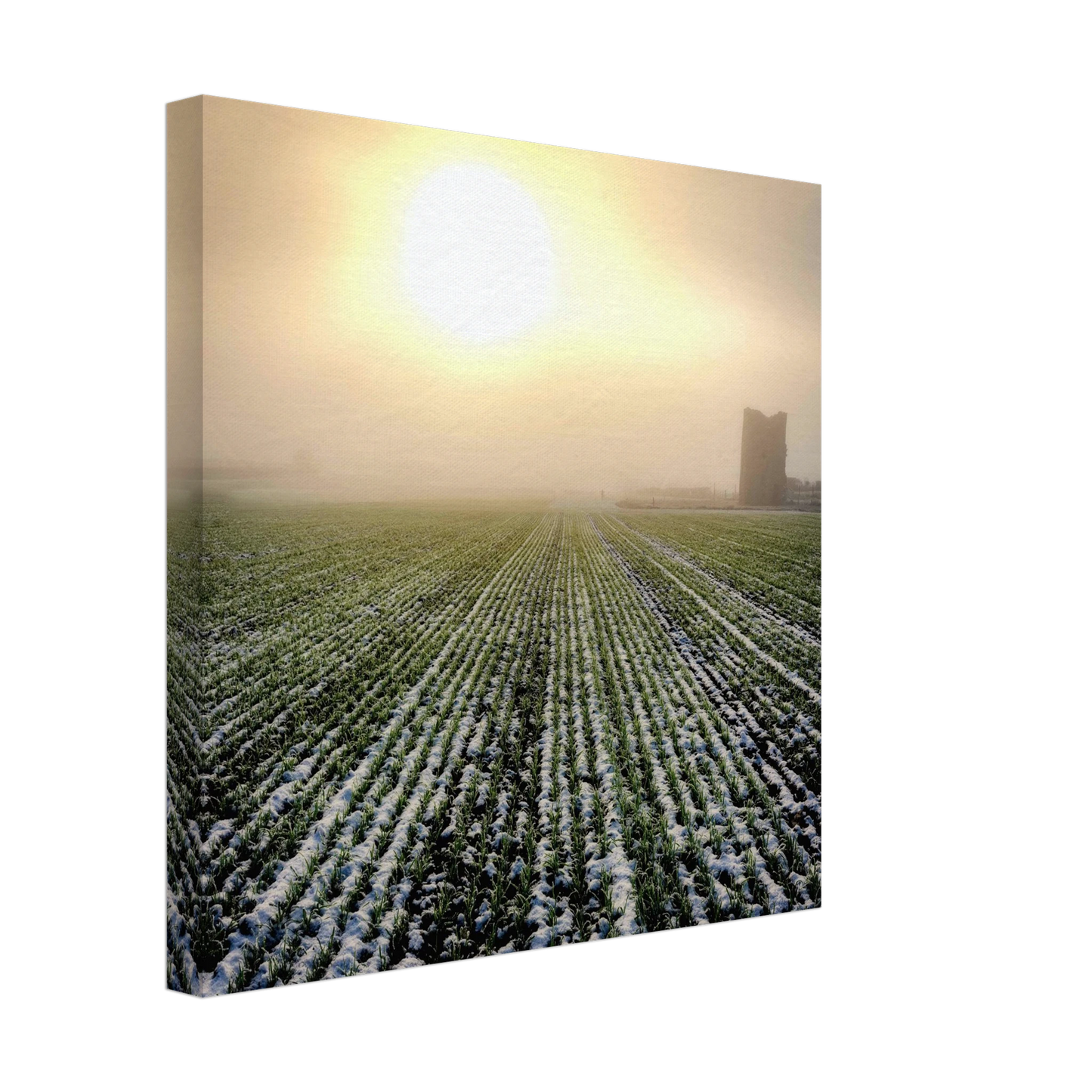 dde37aec-42ad-4e7e-b816-1e888a703354