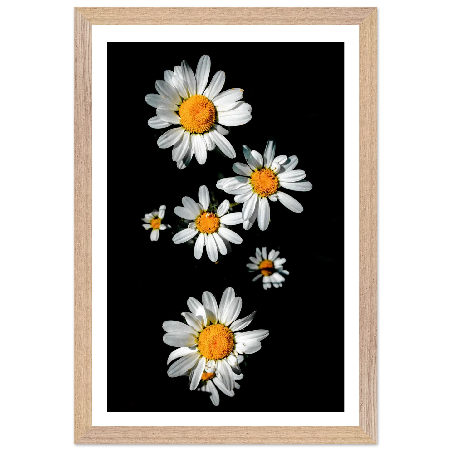 de6d765b-78f7-4923-acaa-4778538ef8e4