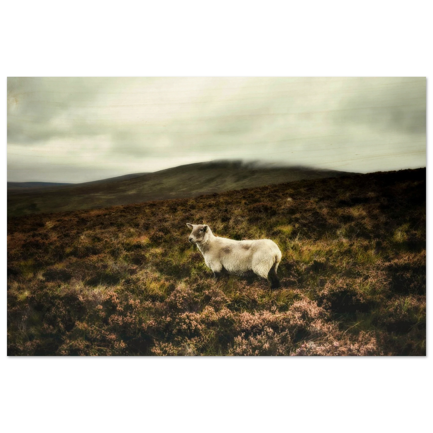 deb144ee-259f-47d1-9e80-90dbdcd998d2