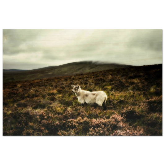 deb144ee-259f-47d1-9e80-90dbdcd998d2