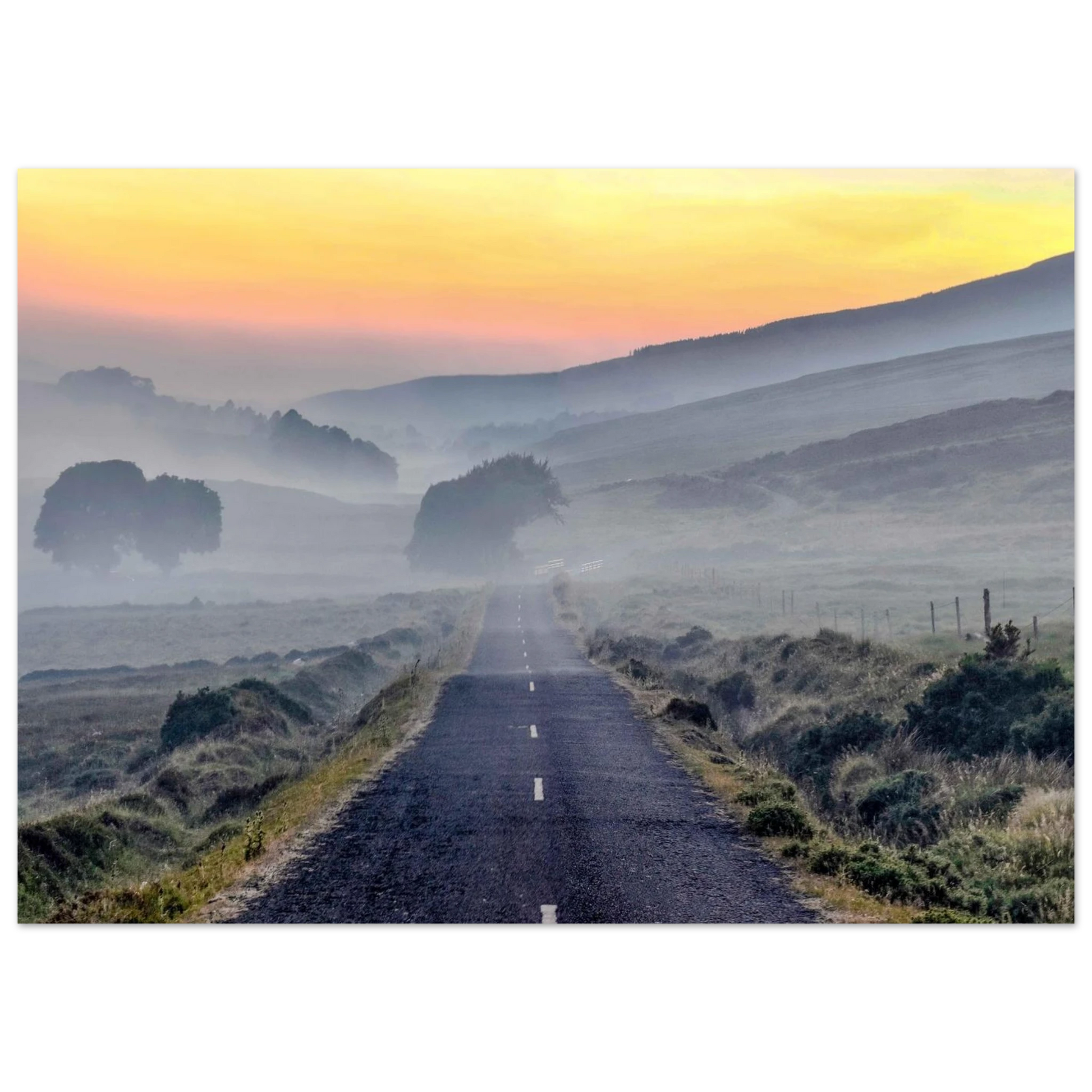 dec07951-03b2-4386-9386-07422a726930