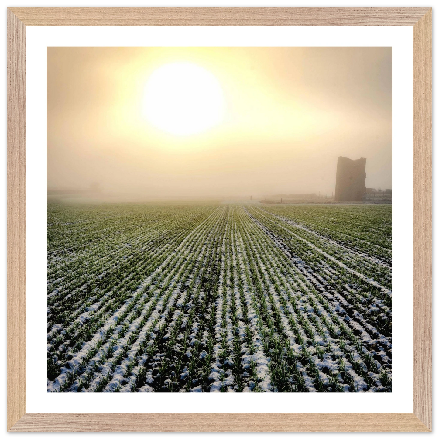 dedb19c3-9928-4358-b04a-183f51aa55c6