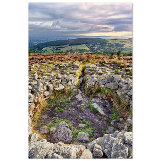 df0e4339-cf7a-4692-8ee5-87d9aaab5669