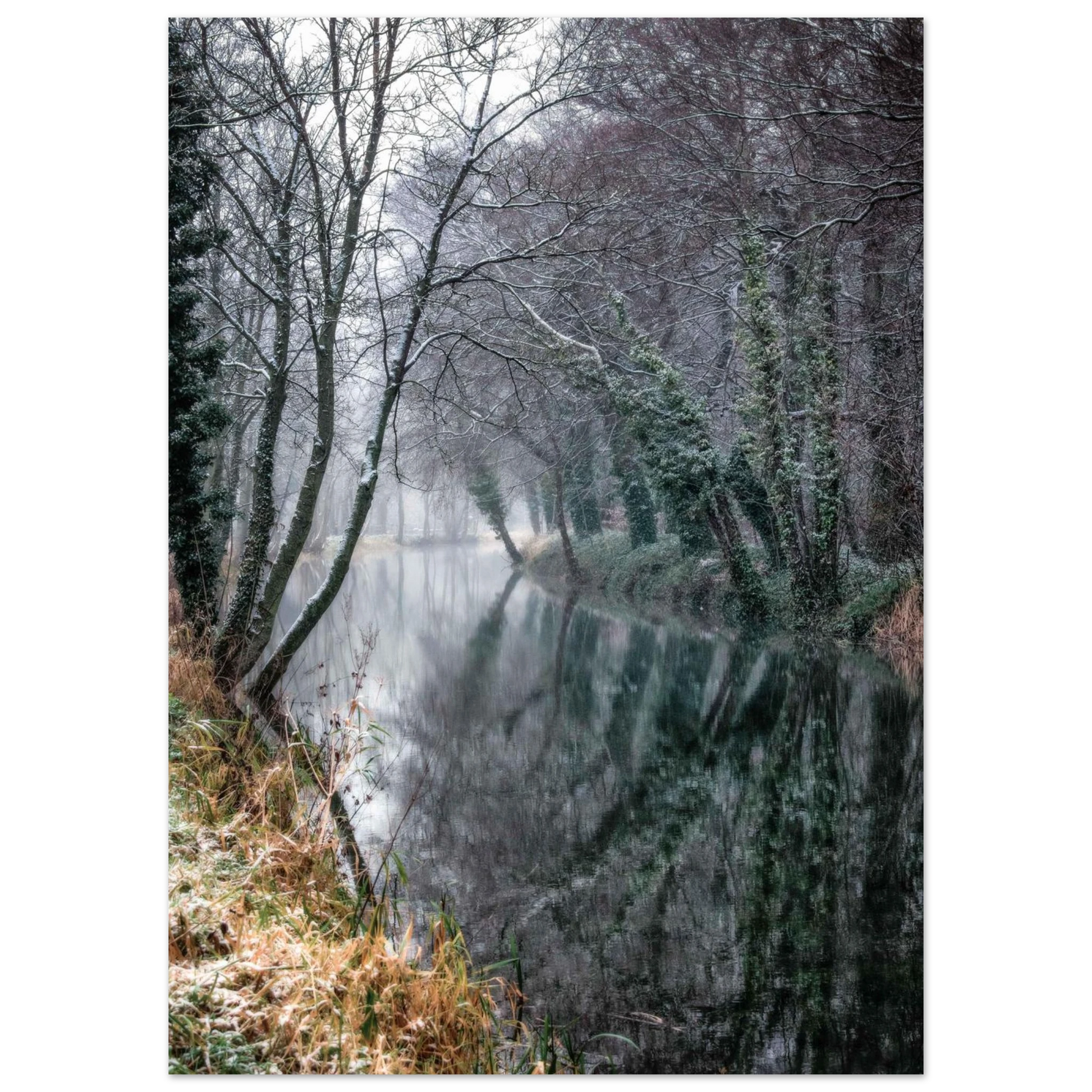 df16c94c-570c-44a0-8d40-9345ce8885a8