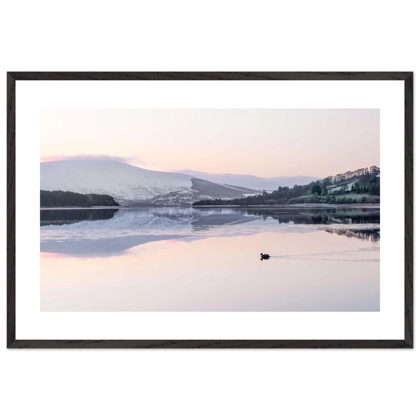 df4b19cc-a508-4d12-81b7-e46948d8fa50