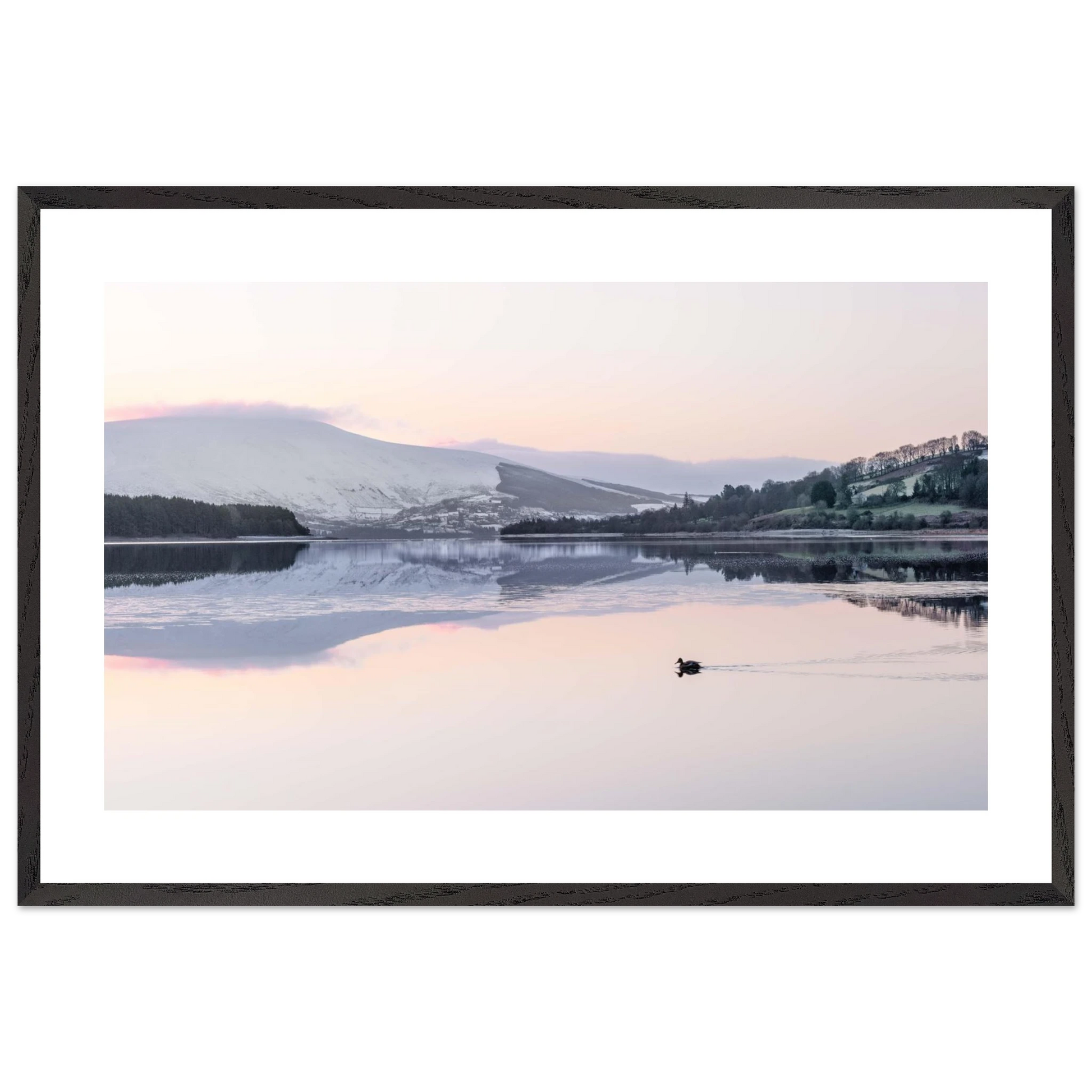 df4b19cc-a508-4d12-81b7-e46948d8fa50