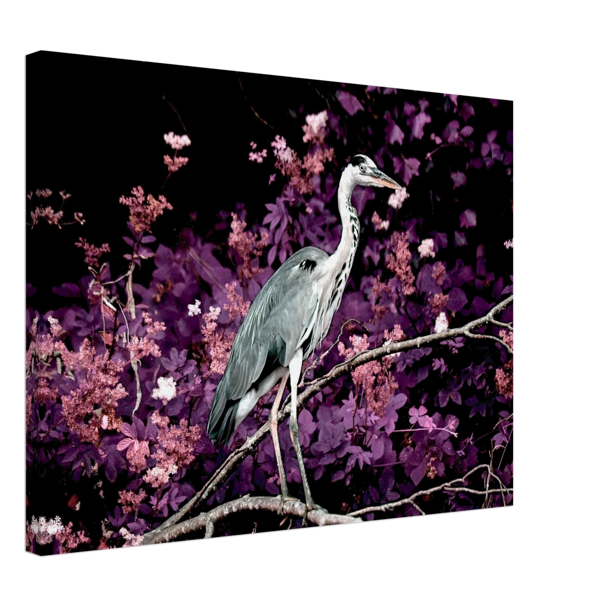 dffe68cb-3f8e-40ea-935d-bf800417e208