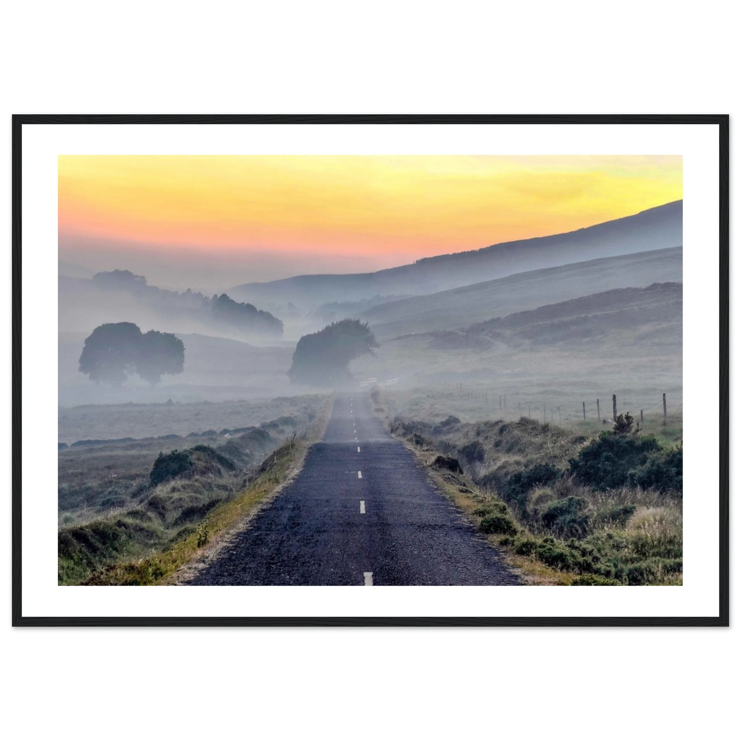 dfffdb81-ae26-4ffb-8085-6452563b97b6