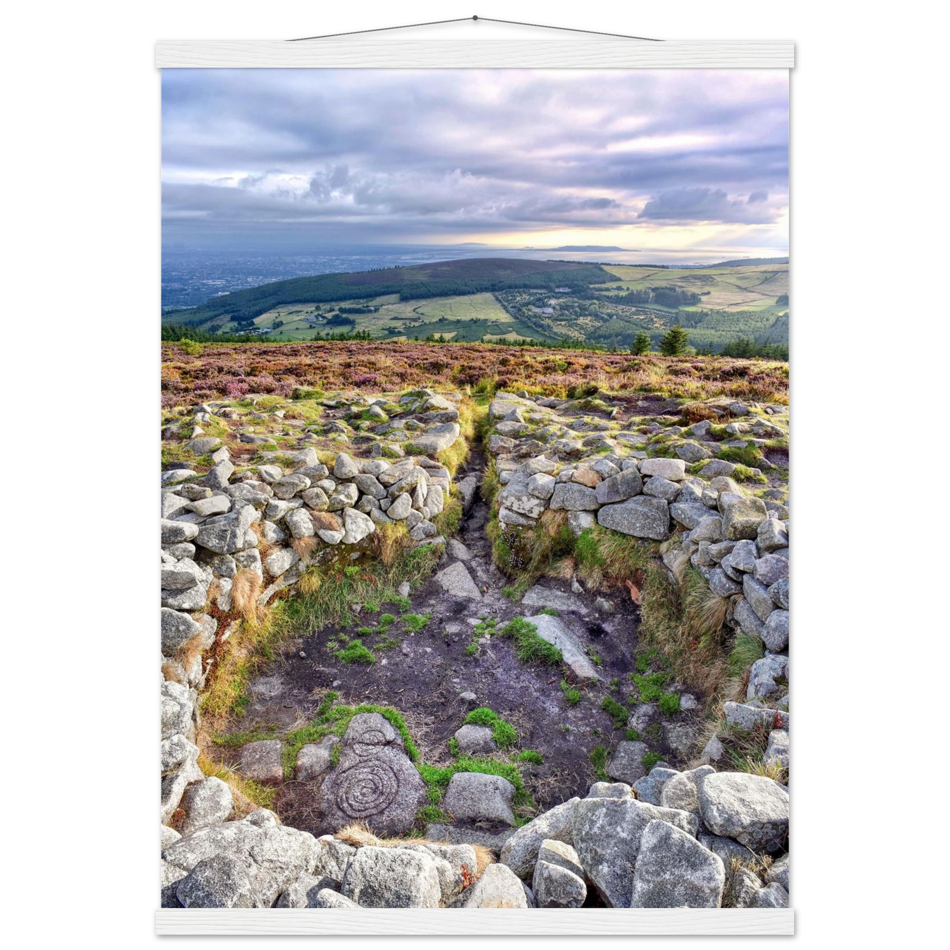 e004a918-e04b-4cb3-99f6-f94041c70075