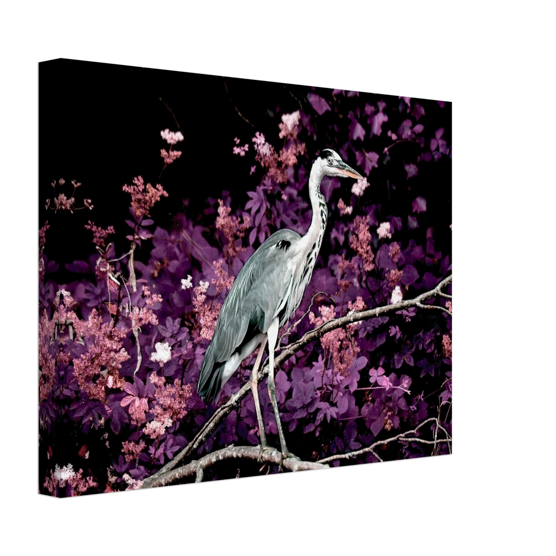 e010e429-ebc3-43c0-aa9a-085824bb98d3