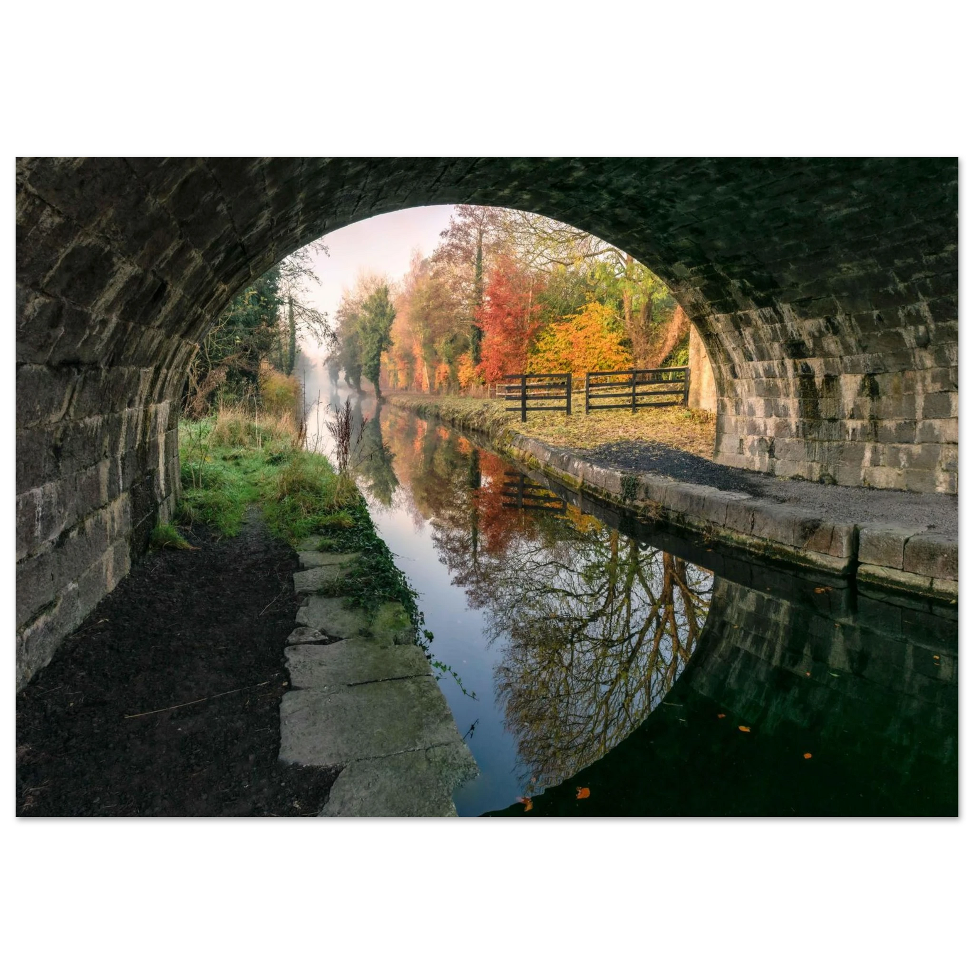 e0130c8c-fa31-40c7-a231-fcd07a88cbba