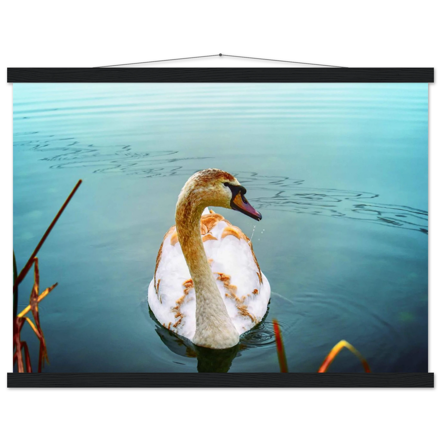 e071ae1e-3077-4bd3-9cc4-5252ac618364