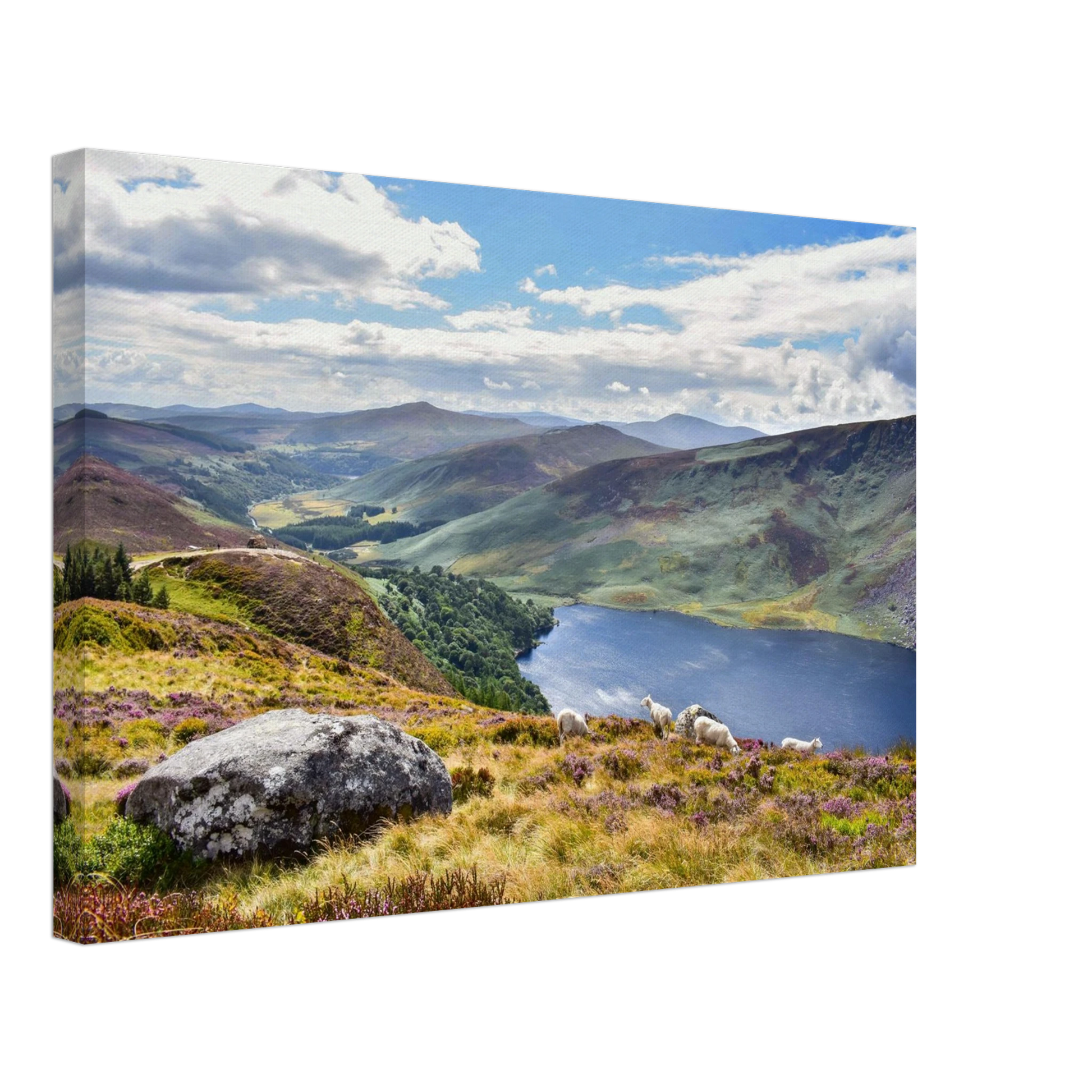 e0bb6527-08e5-4b9e-90f7-037240aa6a61